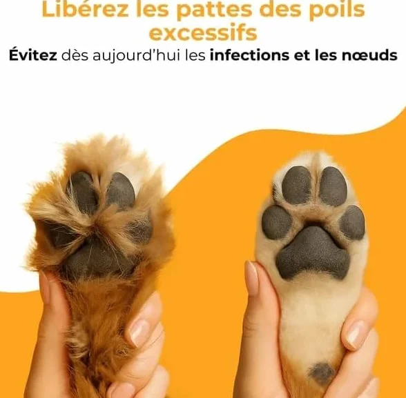 Tondeuse de toilettage GrosMatou Douceur Sécurité