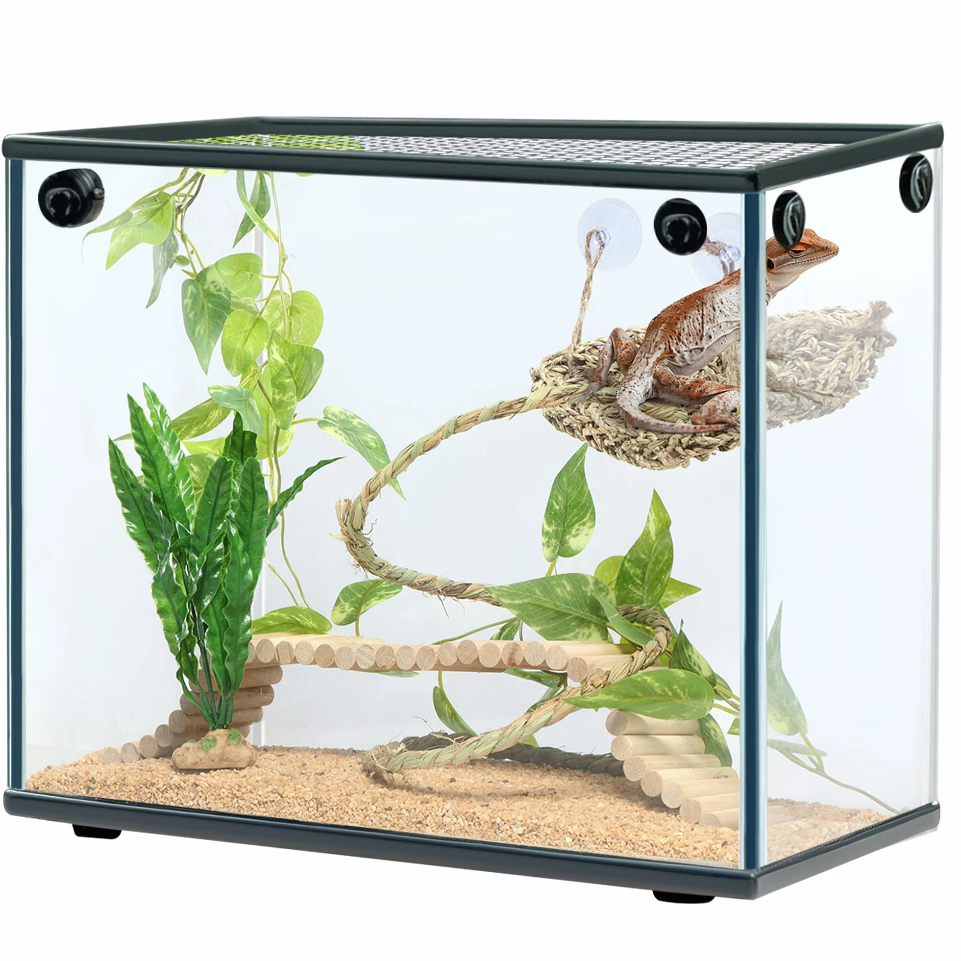 Navaris Décoration Terrarium Vivarium - Lot 5X Accessoire avec hamac Corde Petit Arbre Plante et Rampe en Bois - Deco Terrarium pour Cameleon Dragon Barbu Gecko lezard