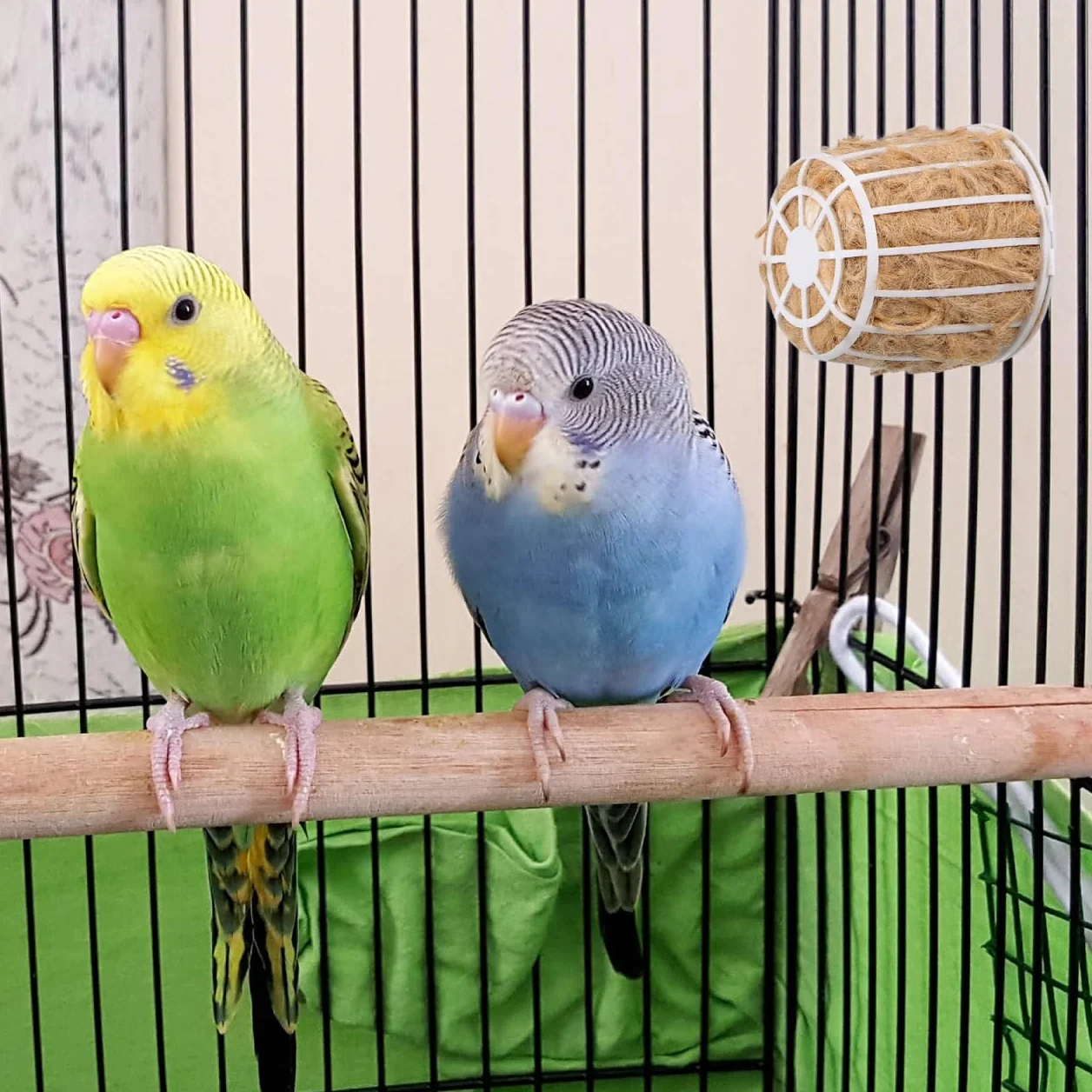 HEMOTON Matériaux de Nidification Souples en Coton et Jute pour Cage à Canari