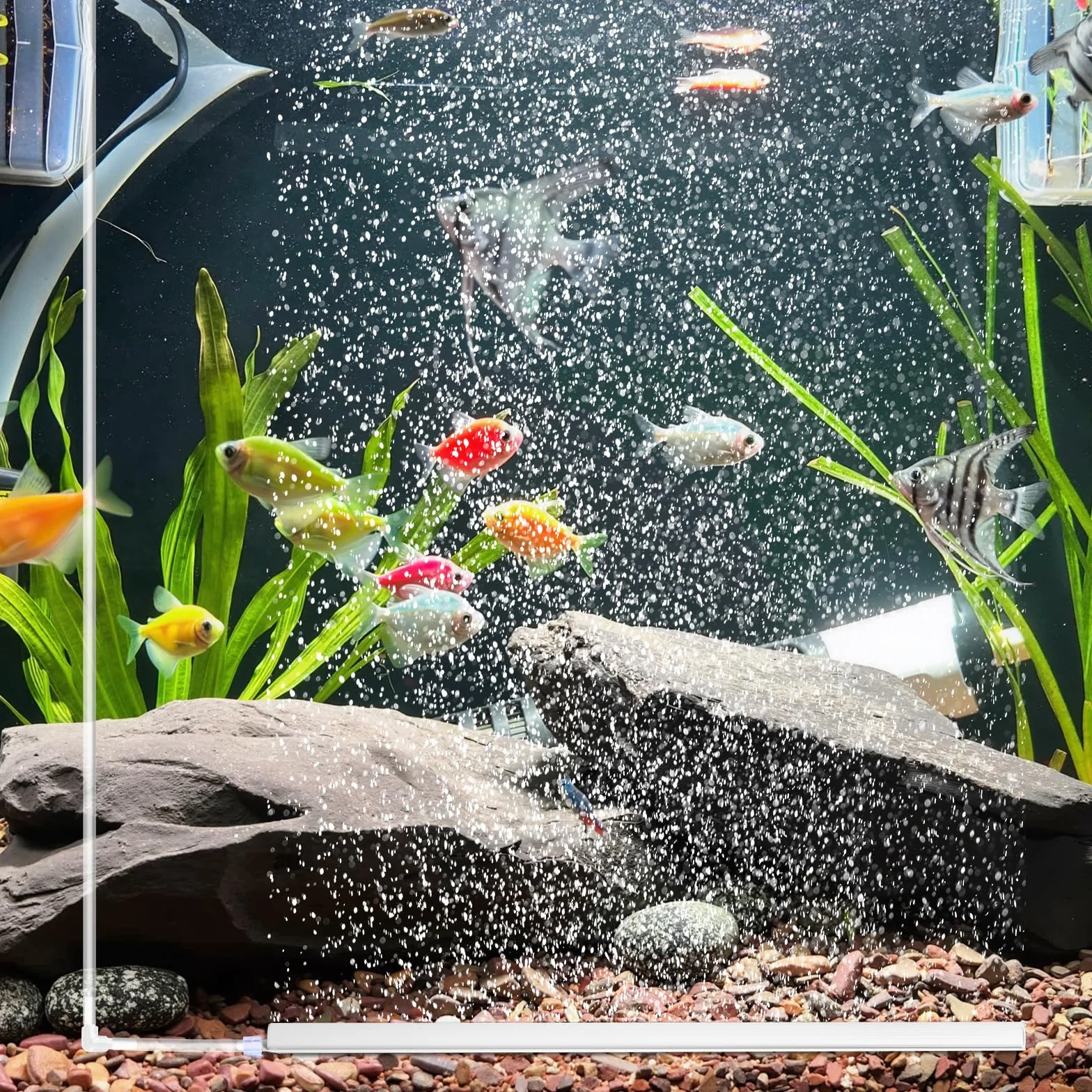 Hainue Bulleur Aquarium Silencieux, Diffuseur Air avec Tuyau, Pierre à Oxygène pour Étang, Bandes d'Oxygène à Petites Bulles Nano (30cm)