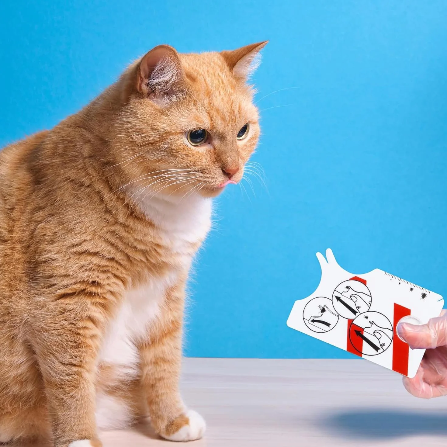 Lot de 2 cartes de retrait de tiques avec loupe, outil taille carte de crédit pour animaux et humains