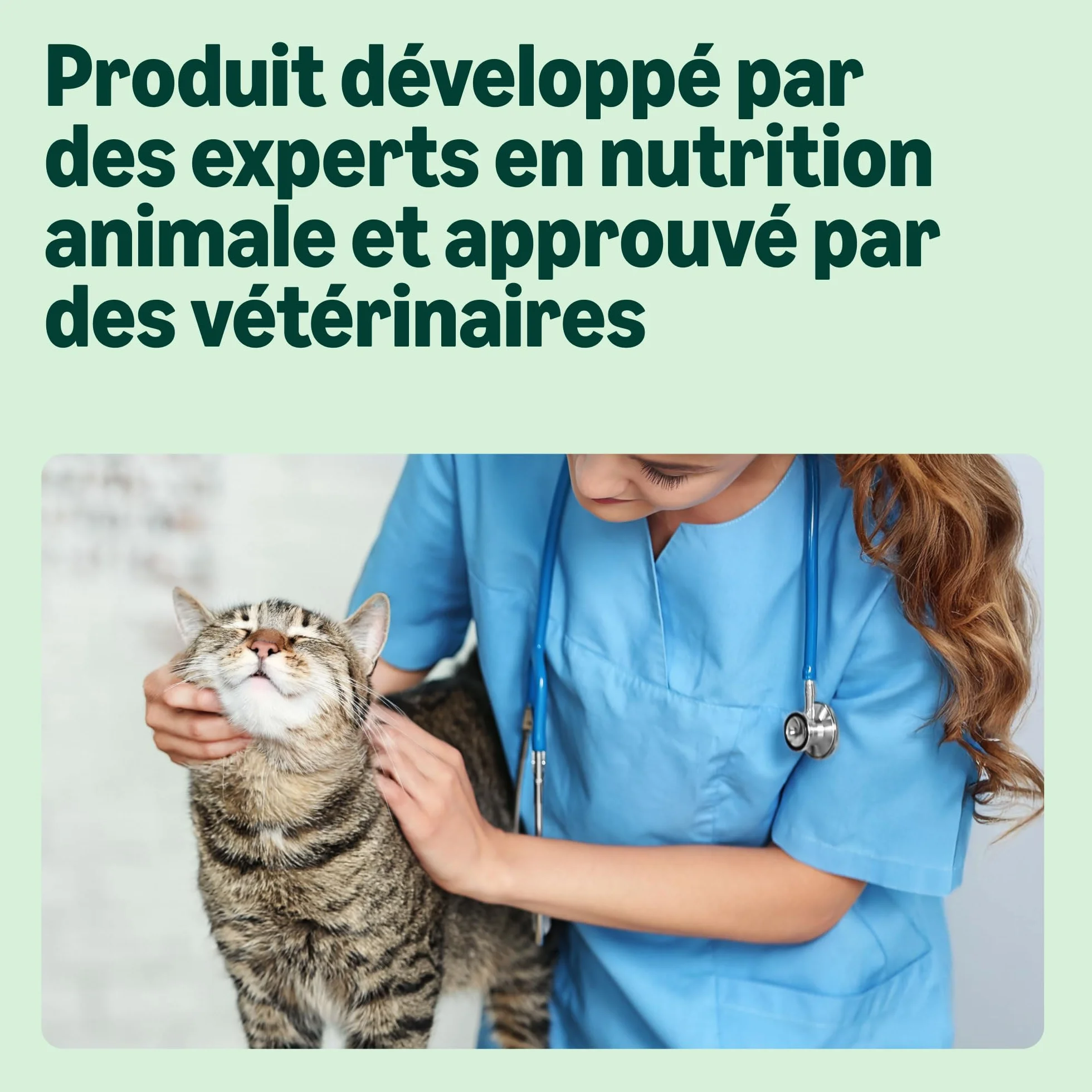 by Amazon Croquettes complètes pour Chats Adultes au Thon et Hareng,10kg, Lot de 1