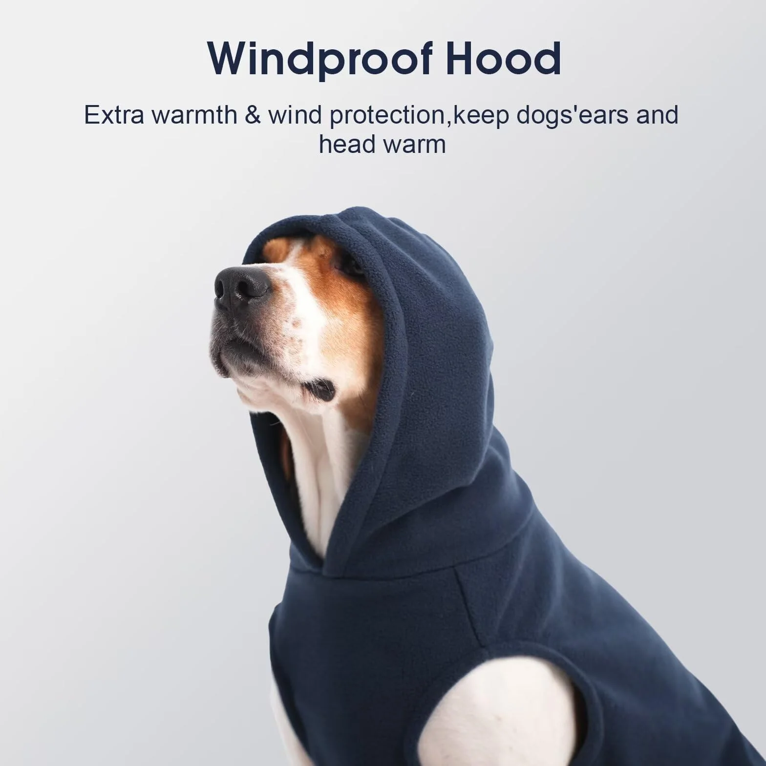 Manteau chien grande taille pull polaire chaude trou laisse IECOii automne hiver