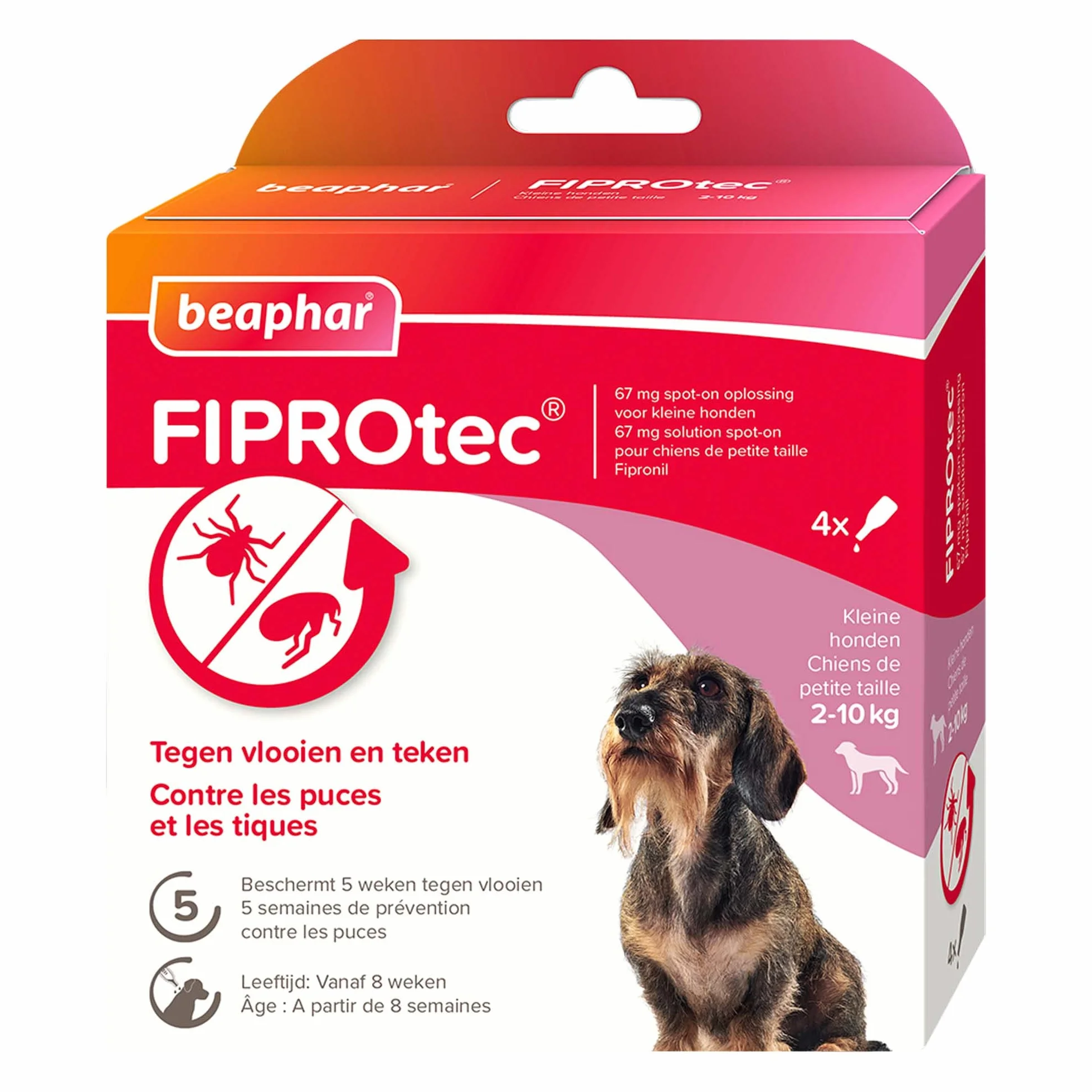 Beaphar FIPROTEC Solution Spot-on pour Petits Chiens (2-10 kg) 67 MG - Contre Puces et Tiques - 4 Pipettes de 0,67 ML