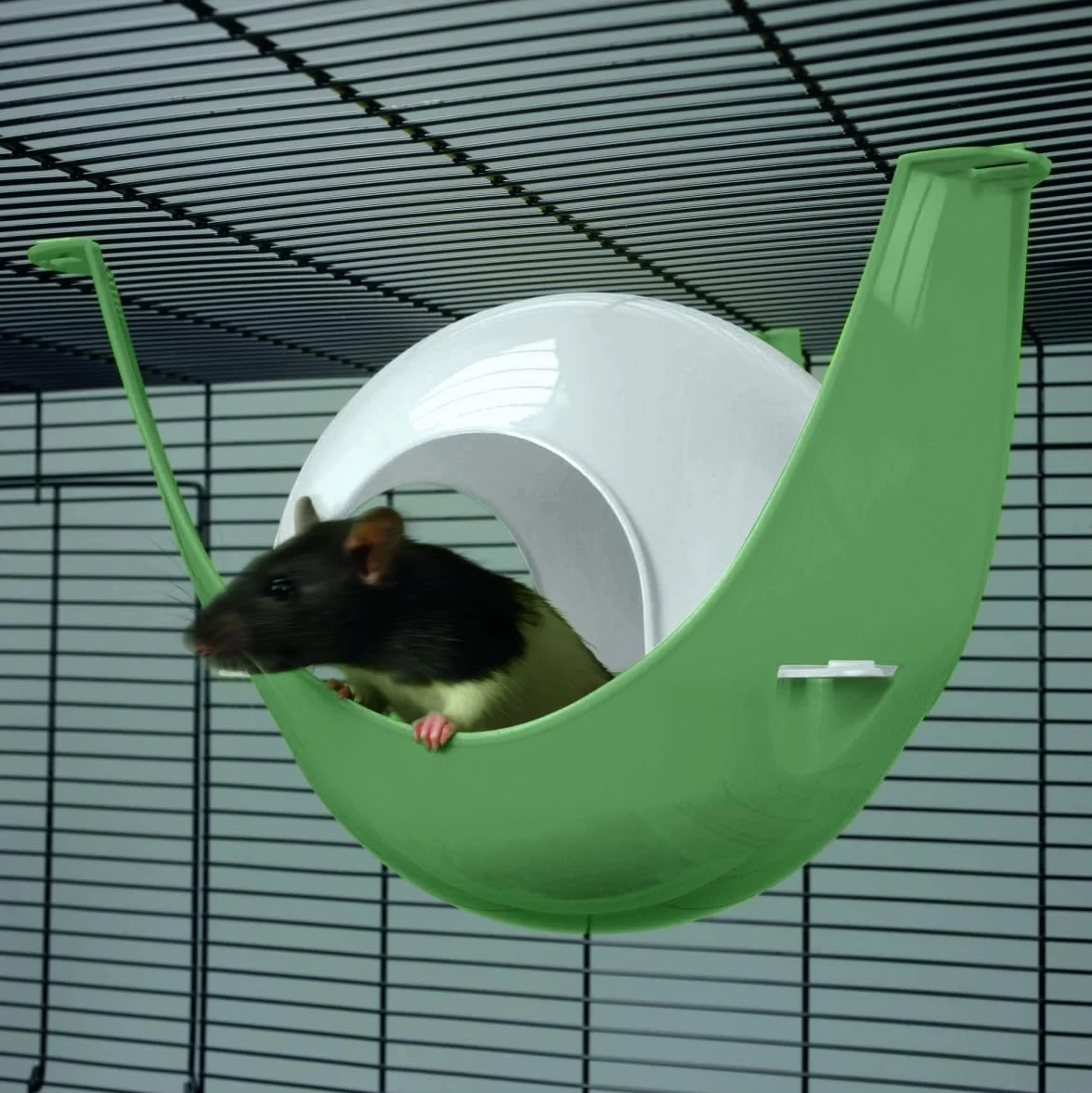 Maison Lapin - Cage Rongeur - Savic Sputnik XL - cachette pour Petits Animaux - Vert - pour Hamsters et Rats - Dimensions 29 x 26 x 19 cm