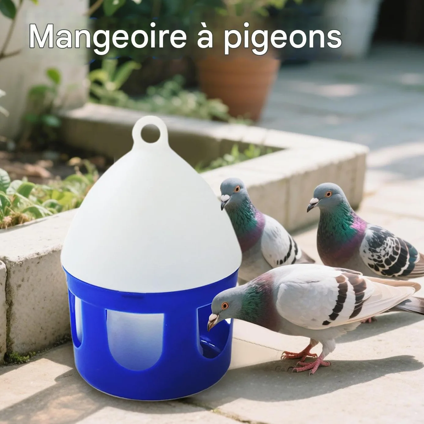Abreuvoir pour Pigeons 2 litres Antifuite Amovible pour Oiseaux