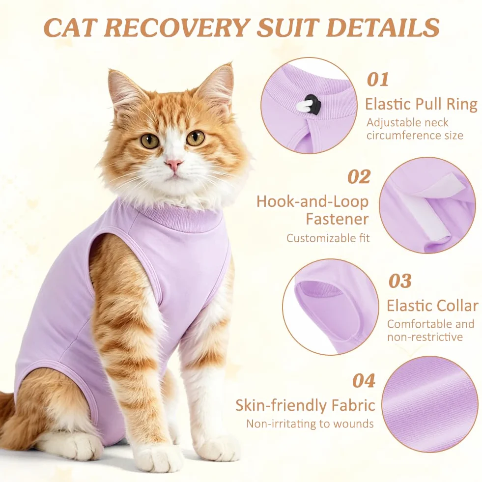 OFFCUP Gilet de Récupération Chat 2 PCS Protection Léchage Plaies Abdominales Violet