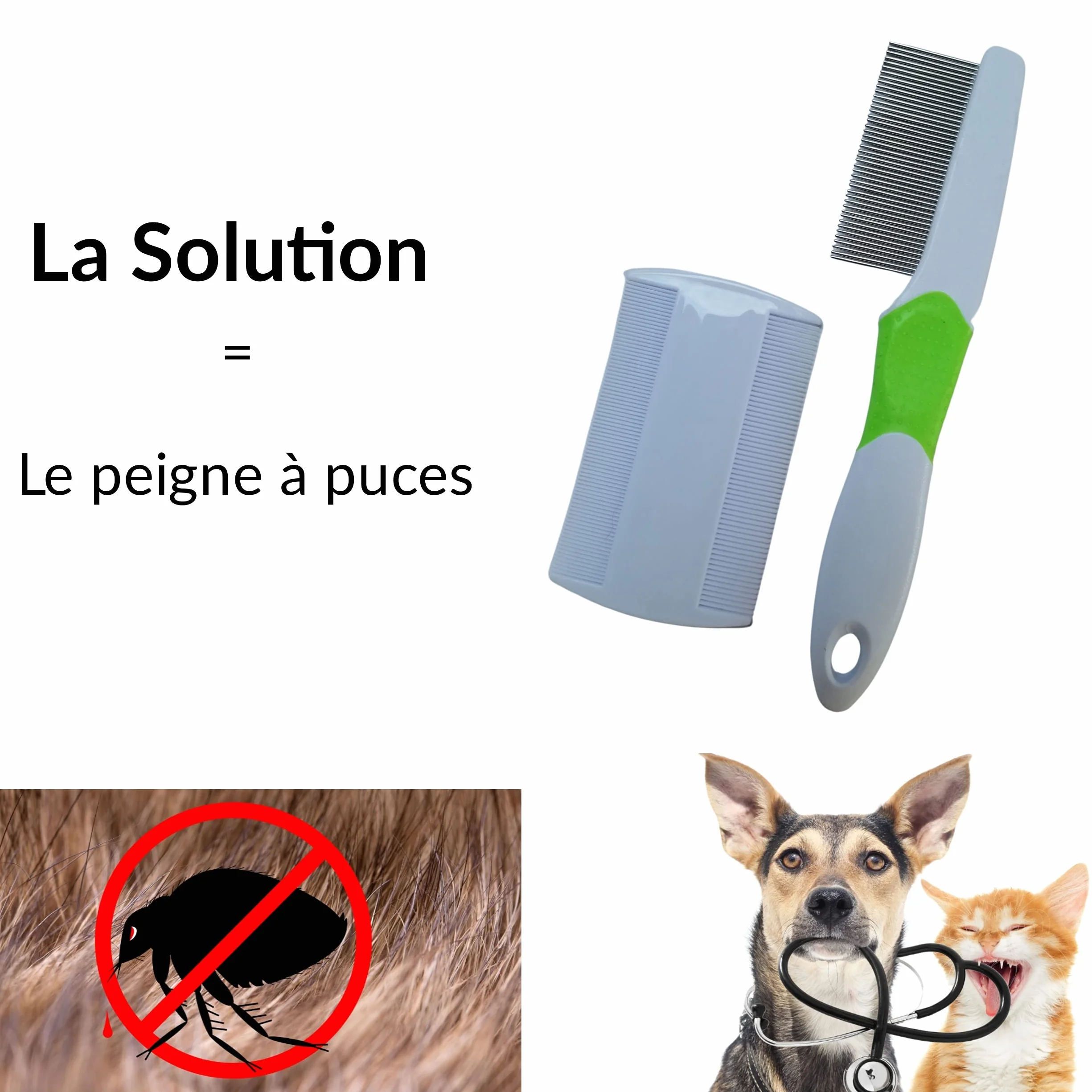 Peigne anti puces chien chat acier inoxydable outil toilettage brosse pointes arrondies anti blessure