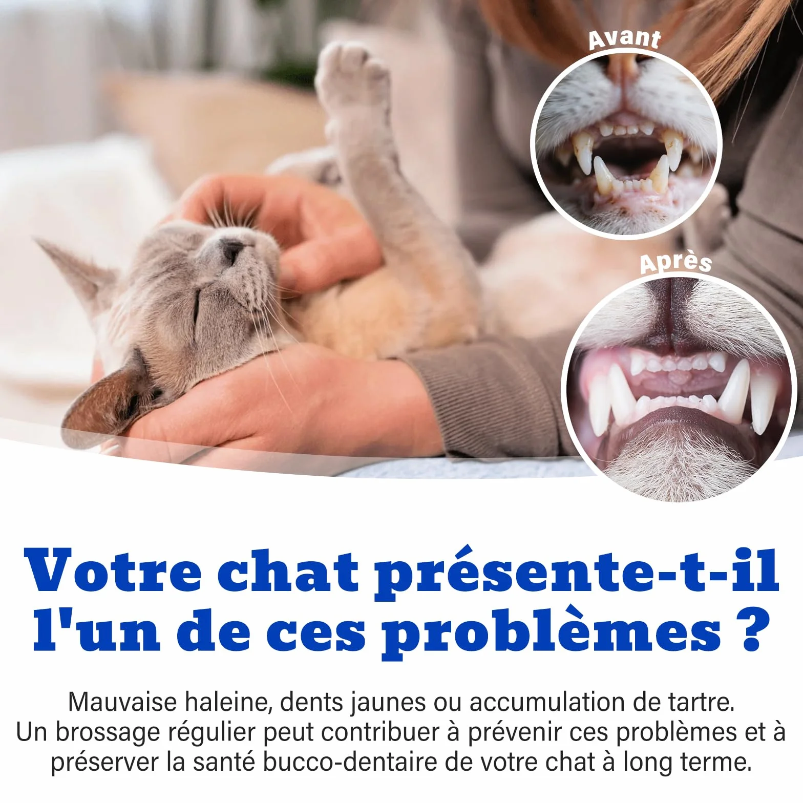 Dentifrice Chat Goût Thon Brosse à Doigts Brosse à Dents Poils Souples 30g