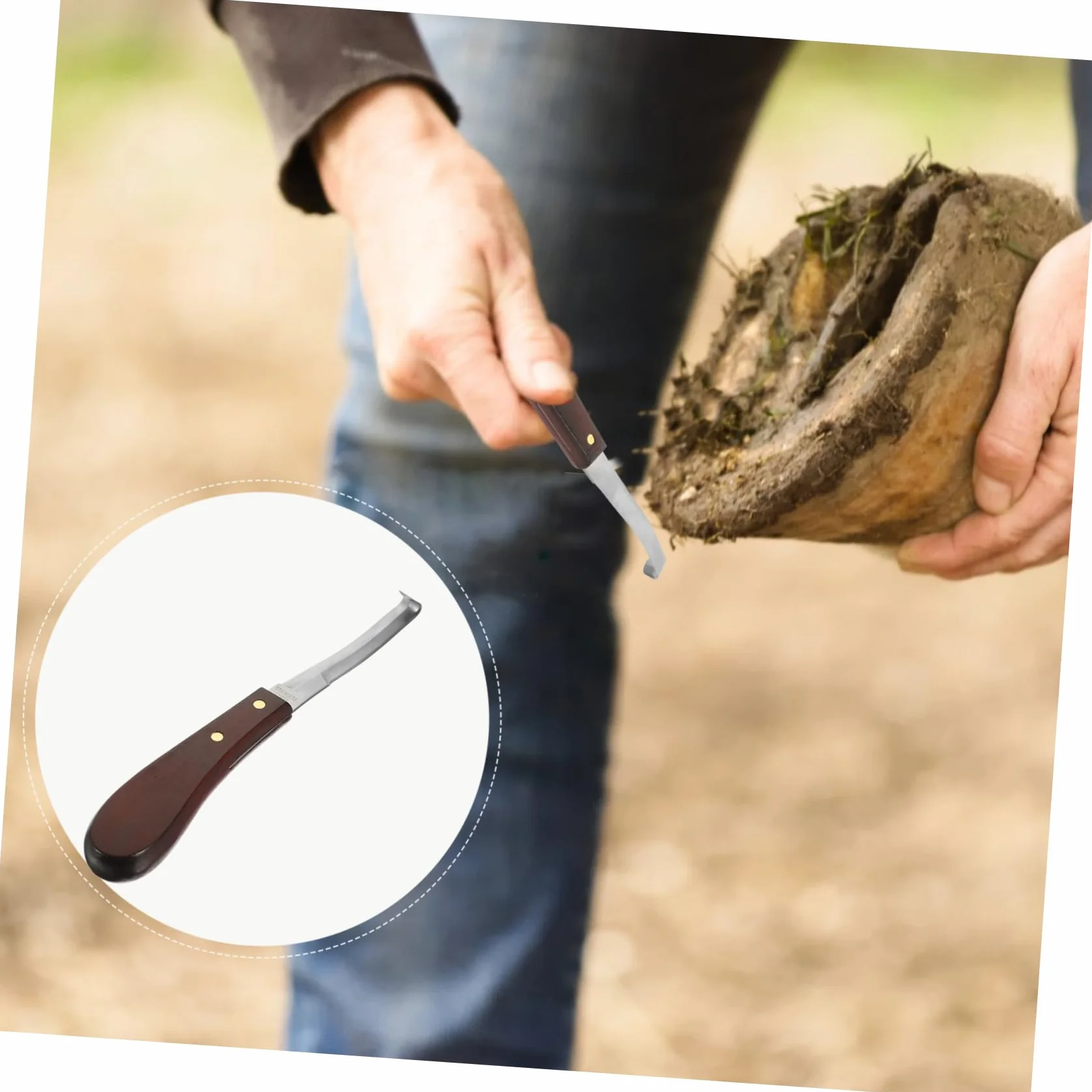 Couteau à Sabot Résistant la Rupture à Double Tranchant en Acier Inoxydable Poignée en Bois Ergonomique pour Usage Quotidien pour Soins des Sabots de Chevaux