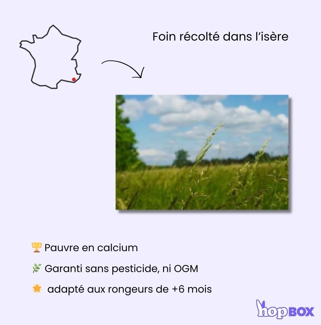 Foin de Prairie Premium pour Lapin & Cochon d’Inde 100% Naturel Longs Brins 5 Kg