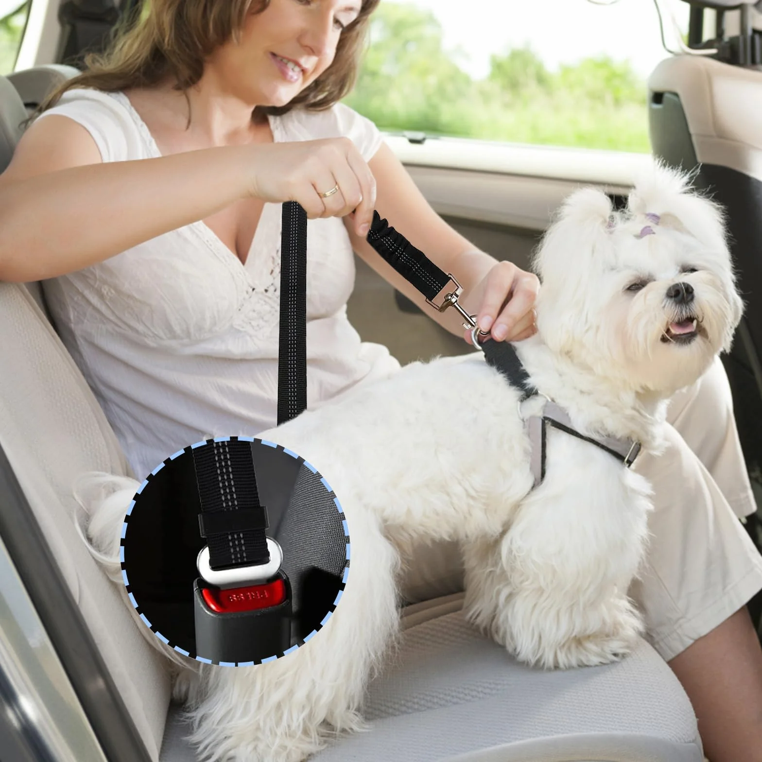 Diompirux 2 pièces Ceinture Chien Voiture, Ensemble de Harnais et Laisse de sécurité de Voiture, Multifonction Tissu Réglable Nylon Ceinture Chien avec Absorption des Chocs, pour Chien et Chat
