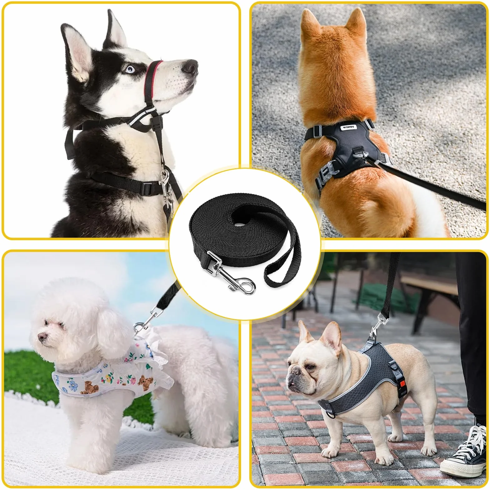 Longe pour Chien 5m, Laisse pour Chien, Laisse Imperméable avec Dragonne Et Mousqueton À 360°, pour L'entraînement pour Chiens De Petite, Moyenne Et Grande Taille (Noir)