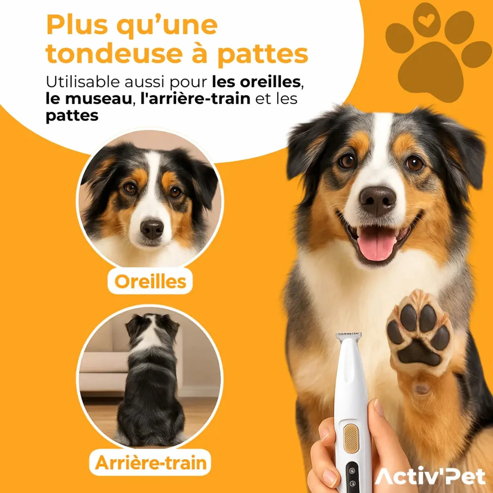 Activ'Pet Tondeuse à pattes silencieuse rechargeable USB avec éclairage LED pour chiens et chats