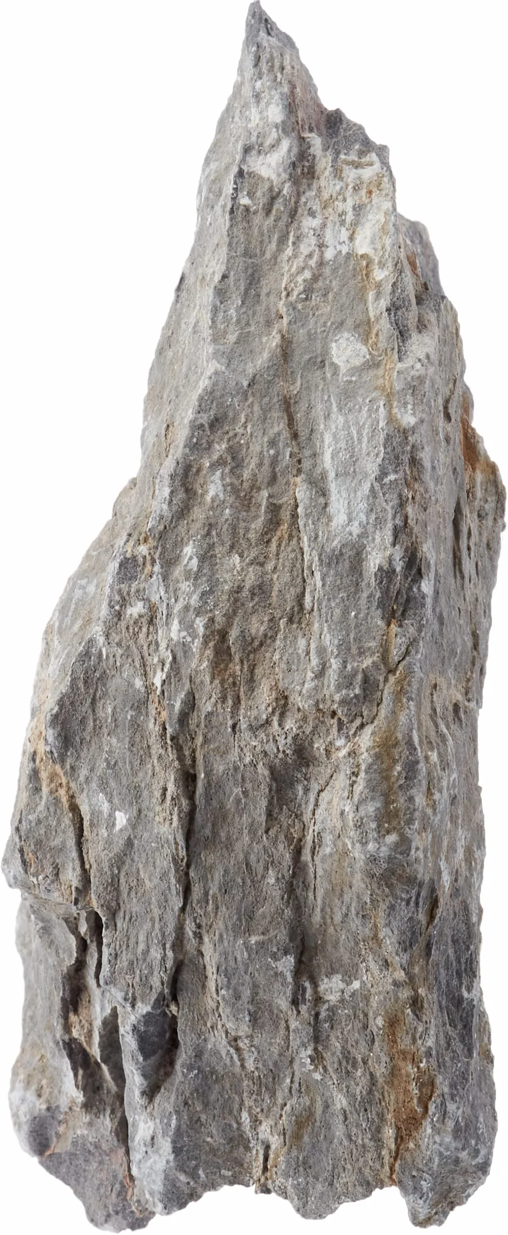 AMTRA Dragon Stone Roche Décoration Aquariophilie 2,5 kg Taille M