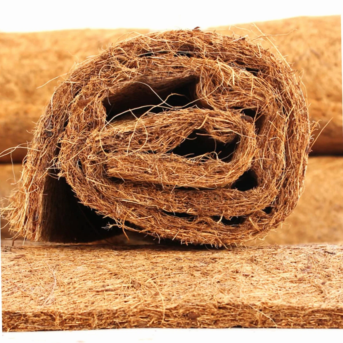BESPORTBLE 2 Pièces Tapis Brun De Noix De Tapis De Reptile Tapis en Fibre De en Bois