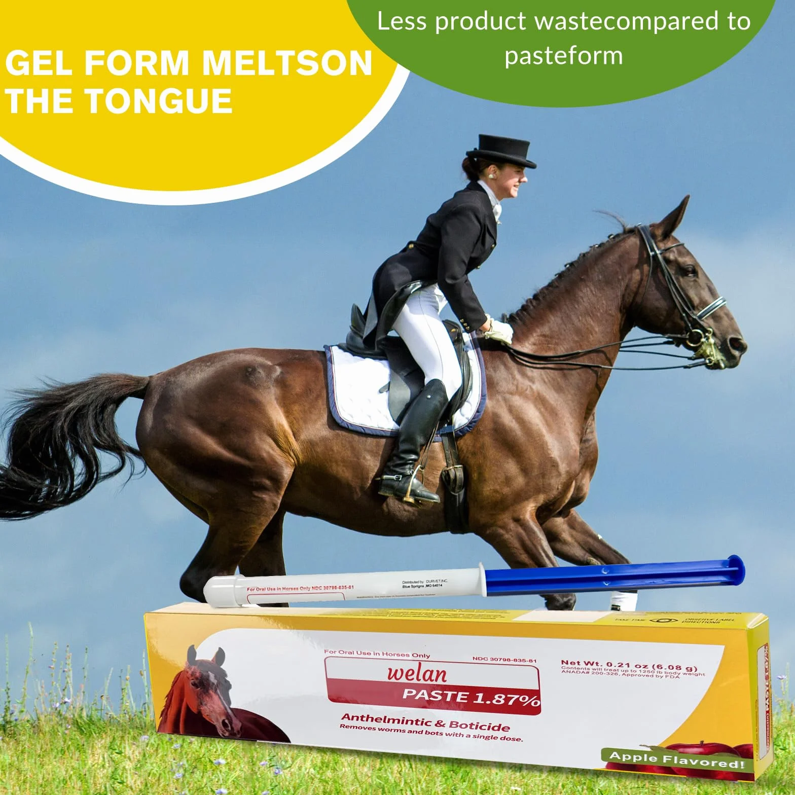Lot de 6 gels pour chevaux 1,87 % saveur de pomme pour chevaux jusqu'à 567 kg
