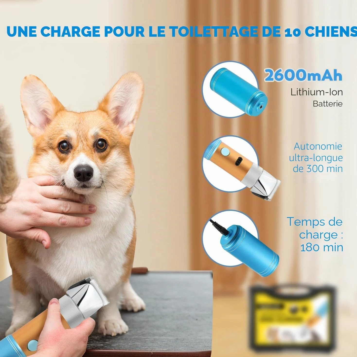 CGOLDENWALL 400W Tondeuse Chien Tondeuse à Moutons Électrique Rechargeable Tête de Coupe Peigne Limite Intégrés Amovible 5H en Veille Faible Bruit (3MM+6MM) | Professionnelle, <50dB, 5h Veille, Rechargeable, Anti-Poils Longs, Tous Poils