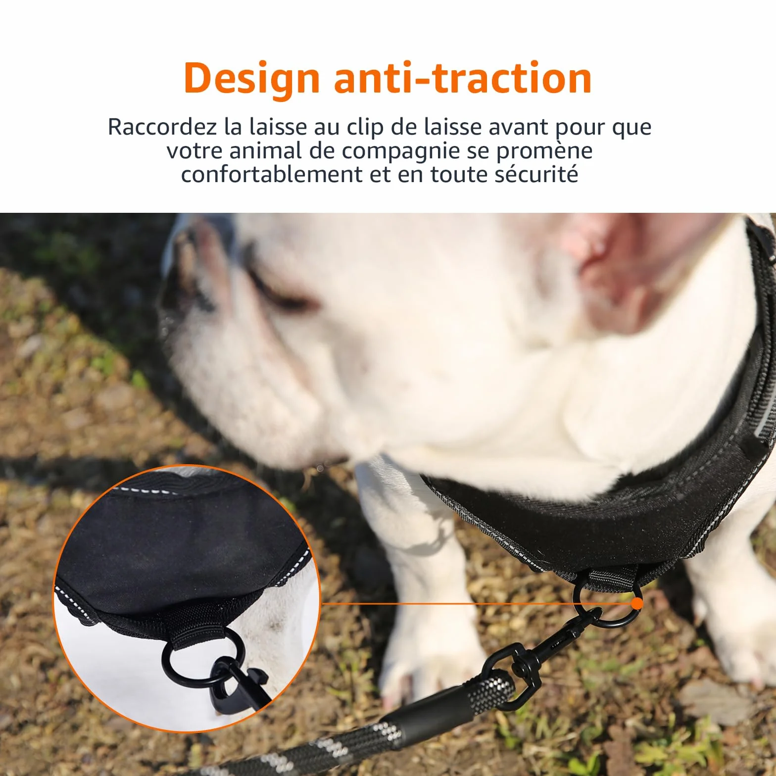 Amazon Basics Harnais pour chien sans traction réglable rembourré bandes réfléchissantes Noir Taille M