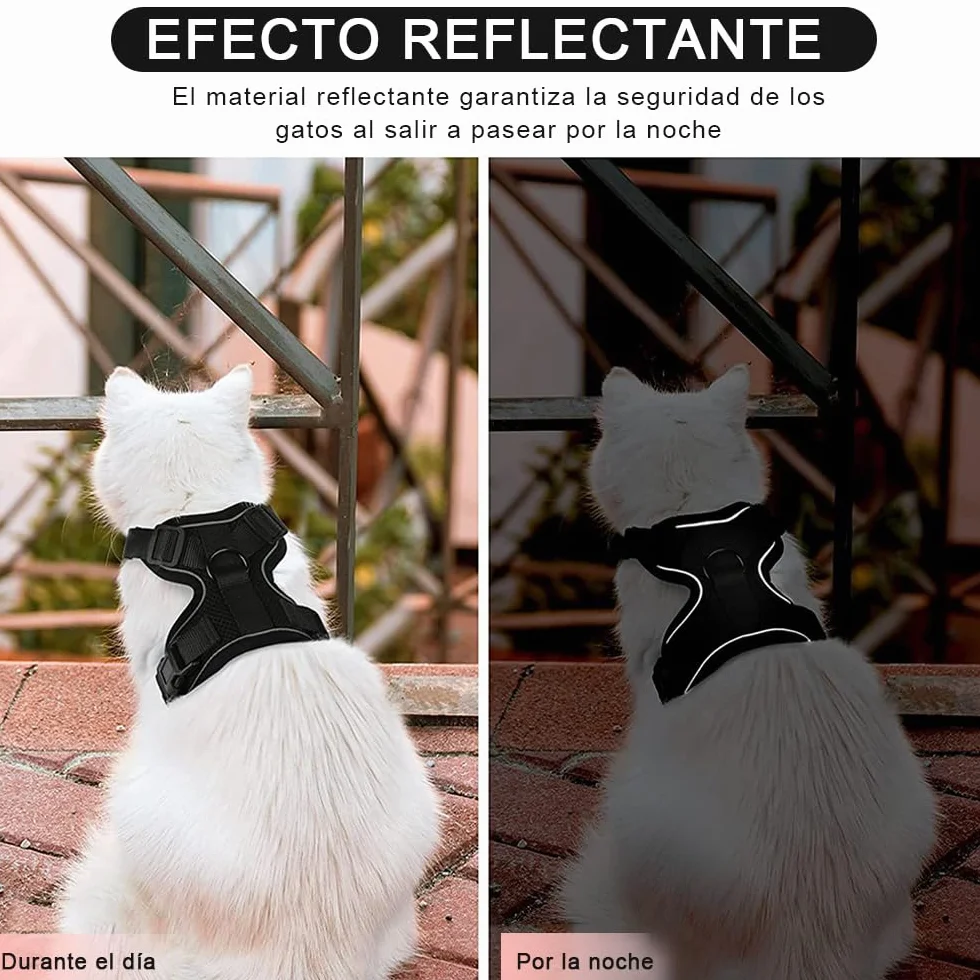 Harnais pour Chat Réglable avec Laisse 150 cm - Sécurité pour Chats Adultes et Chiots