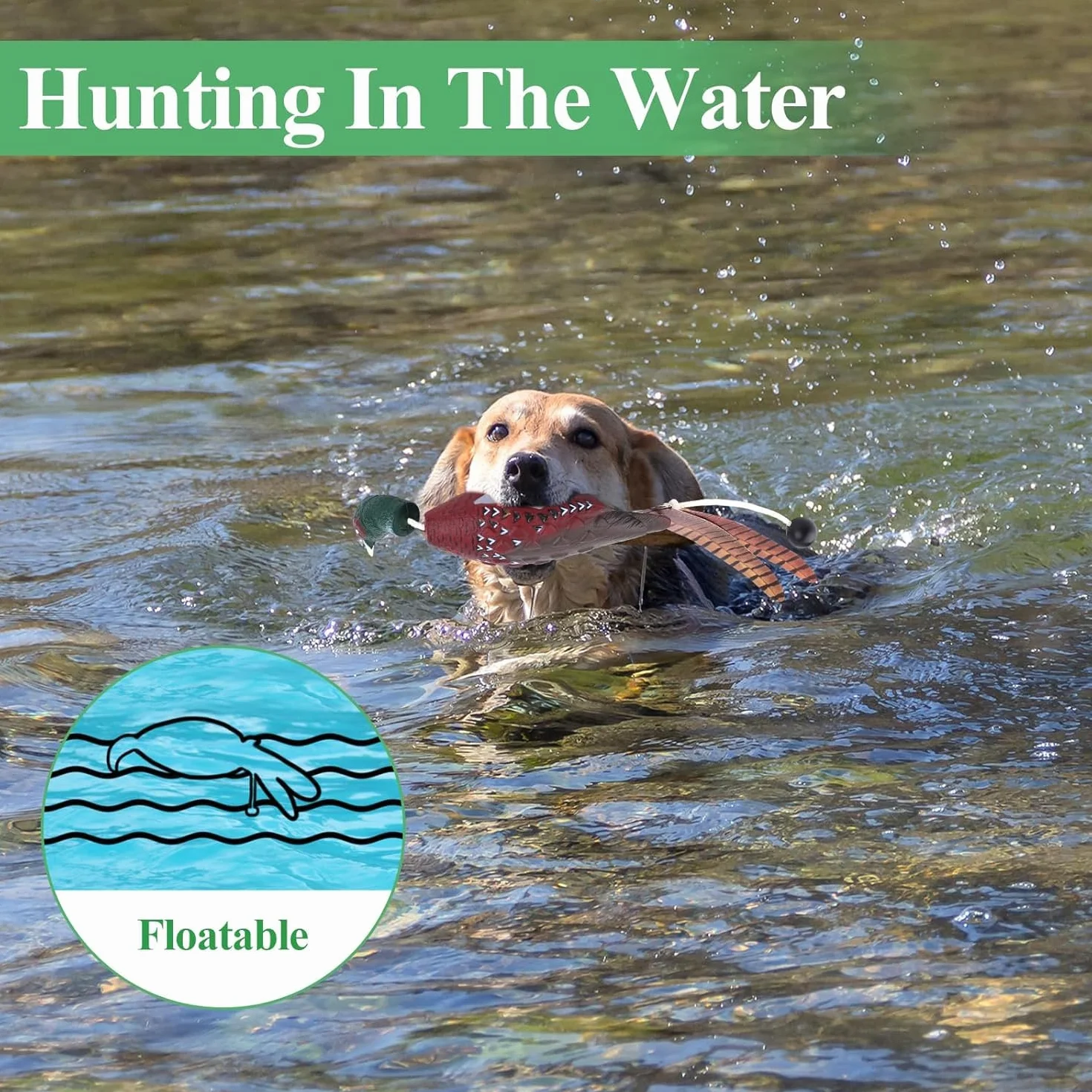Dummy d'entraînement pour Chien Canard Colvert Chasse Chiots