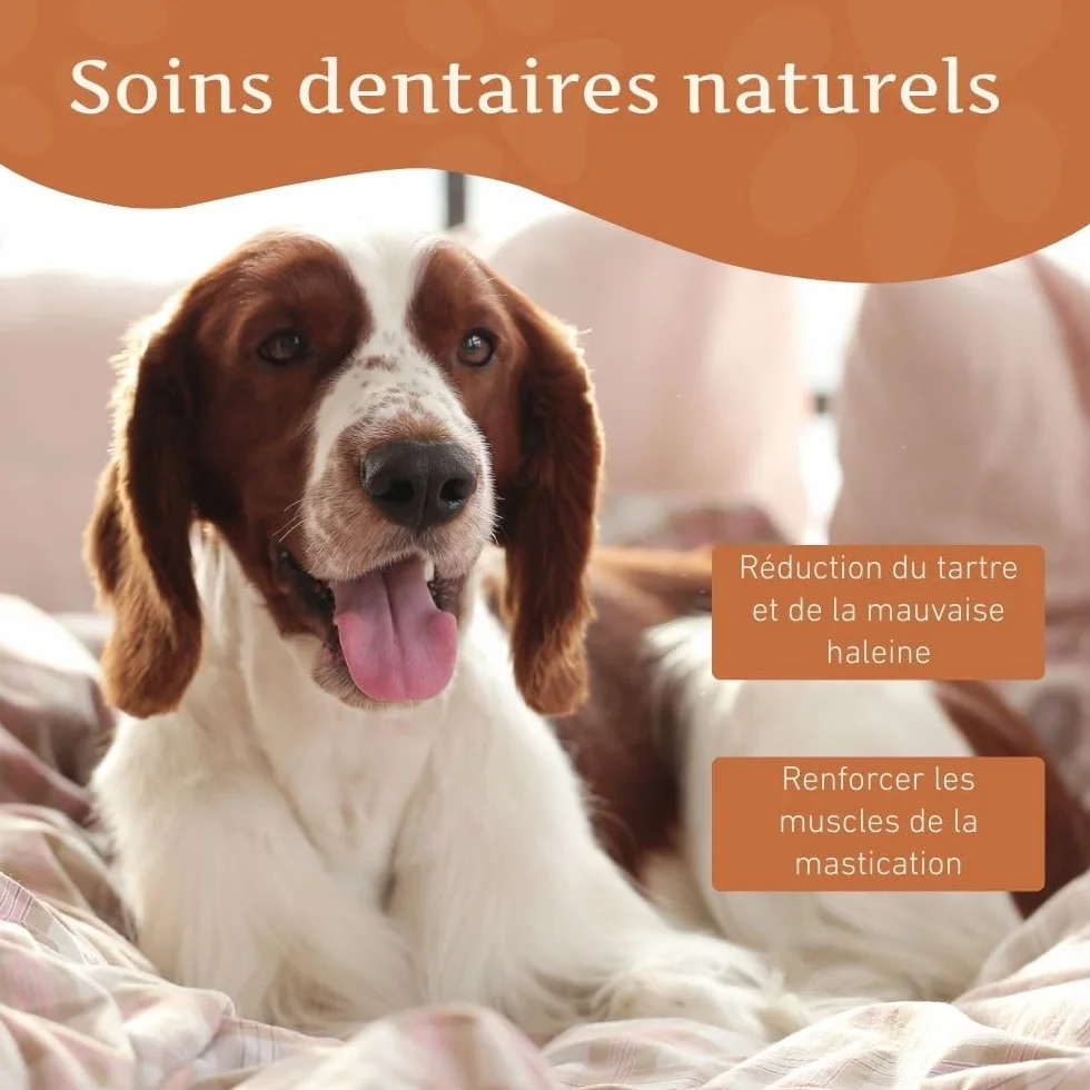 Fromage de Yak Jouet pour Chien à Mâcher M 72g – Bâtonnet Dentaire Dureté Fromage de l'Himalaya Churpi Friandise d'Éducation