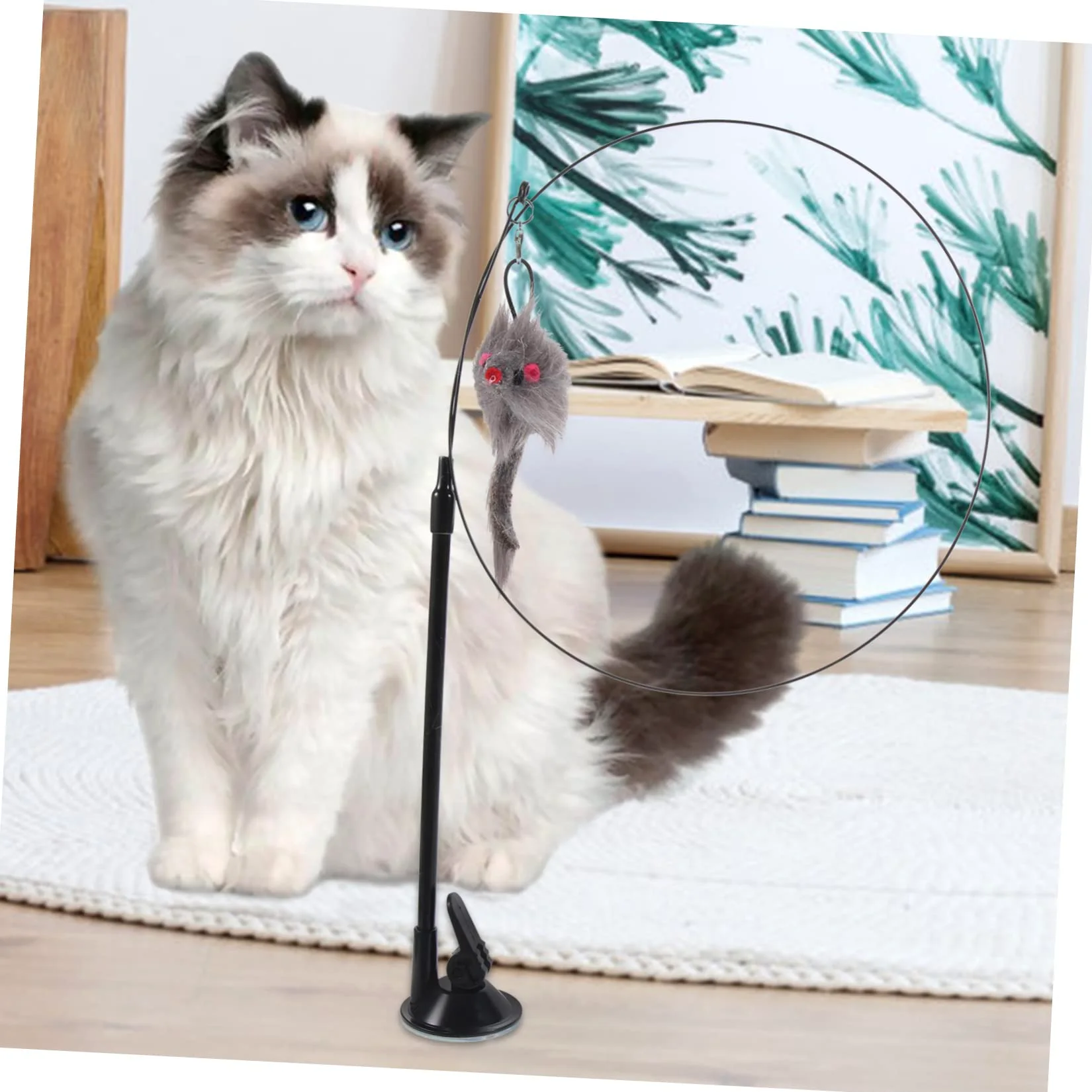 Sosoport Jouets Interactifs pour Chats Jouets pour Chatons De Interactif Ventouse pour D'Aspiration De De De avec Ventouse