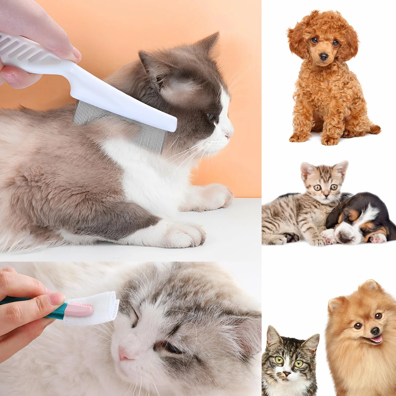Peigne multifonction pour animaux de compagnie 4 peignes en plastique chats chiens anti-puces anti-poux