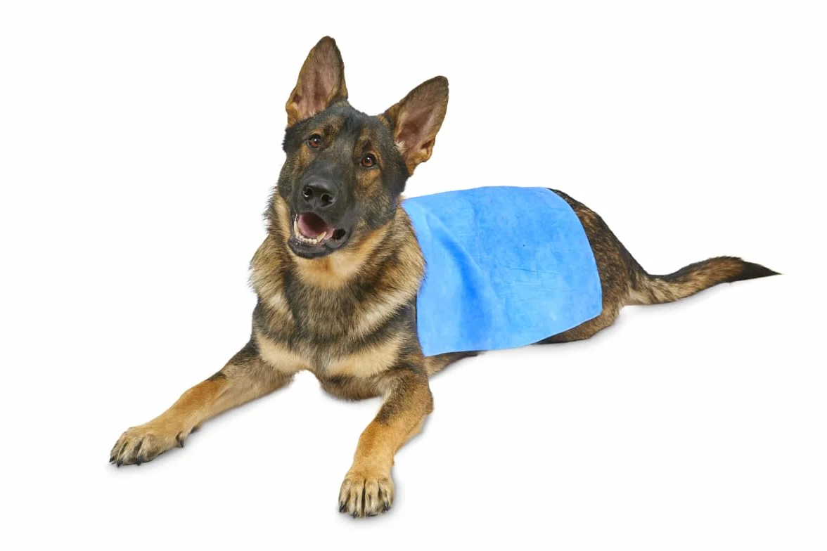 Petface Serviette rafraîchissante pour Animal de Compagnie Bleu 66 x 43 cm