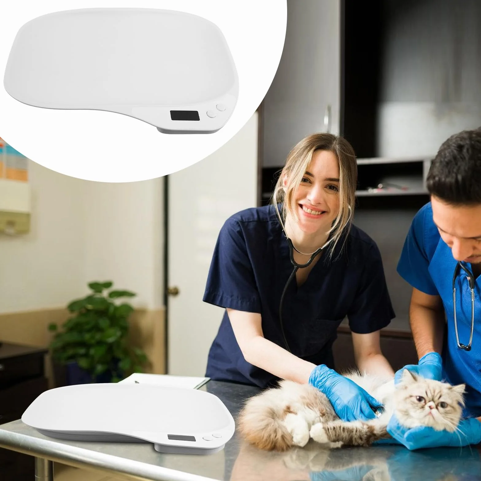 BORDEAG Balance pour Animaux et Pèse-Personne Numérique