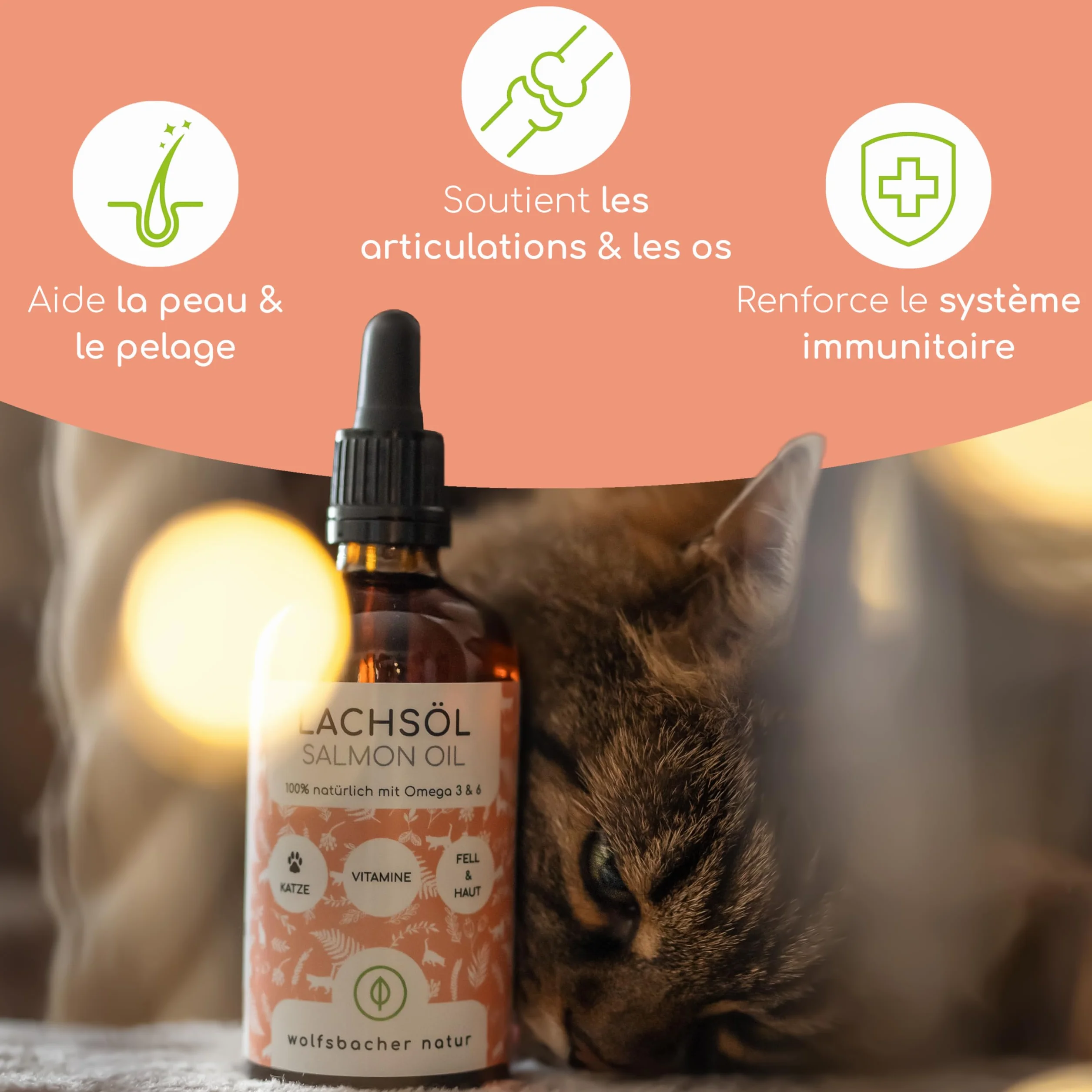 Huile de Saumon Norvégien pour Chats Oméga 3 & 6 100ml Complément Hautement Dosé
