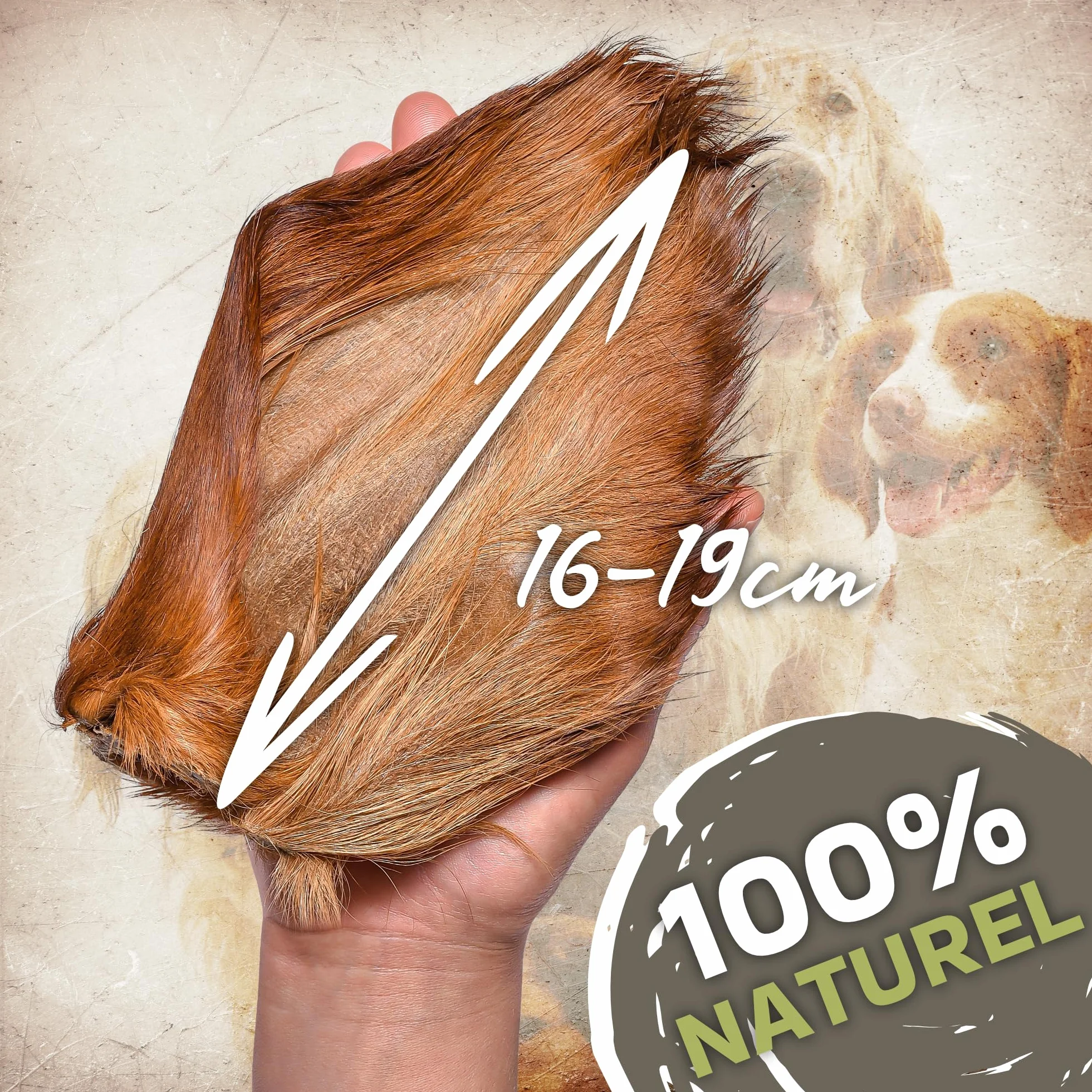 Lot de 10 oreilles de bœuf avec fourrure pour chien - Friandise naturelle à mâcher - Faible en gras et sans additifs
