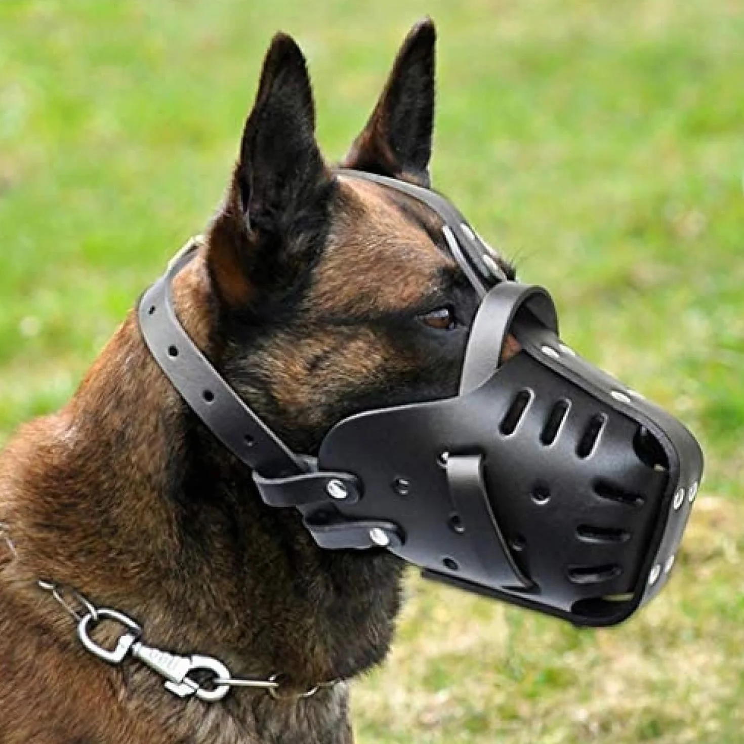 Muselière pour Chien Berger Allemand Malinois, Protège-Dents en Cuir pour Mordre, Mâcher, Mâcher, Respirant, Réglable pour Chiens De Taille Moyenne,Pleasant63