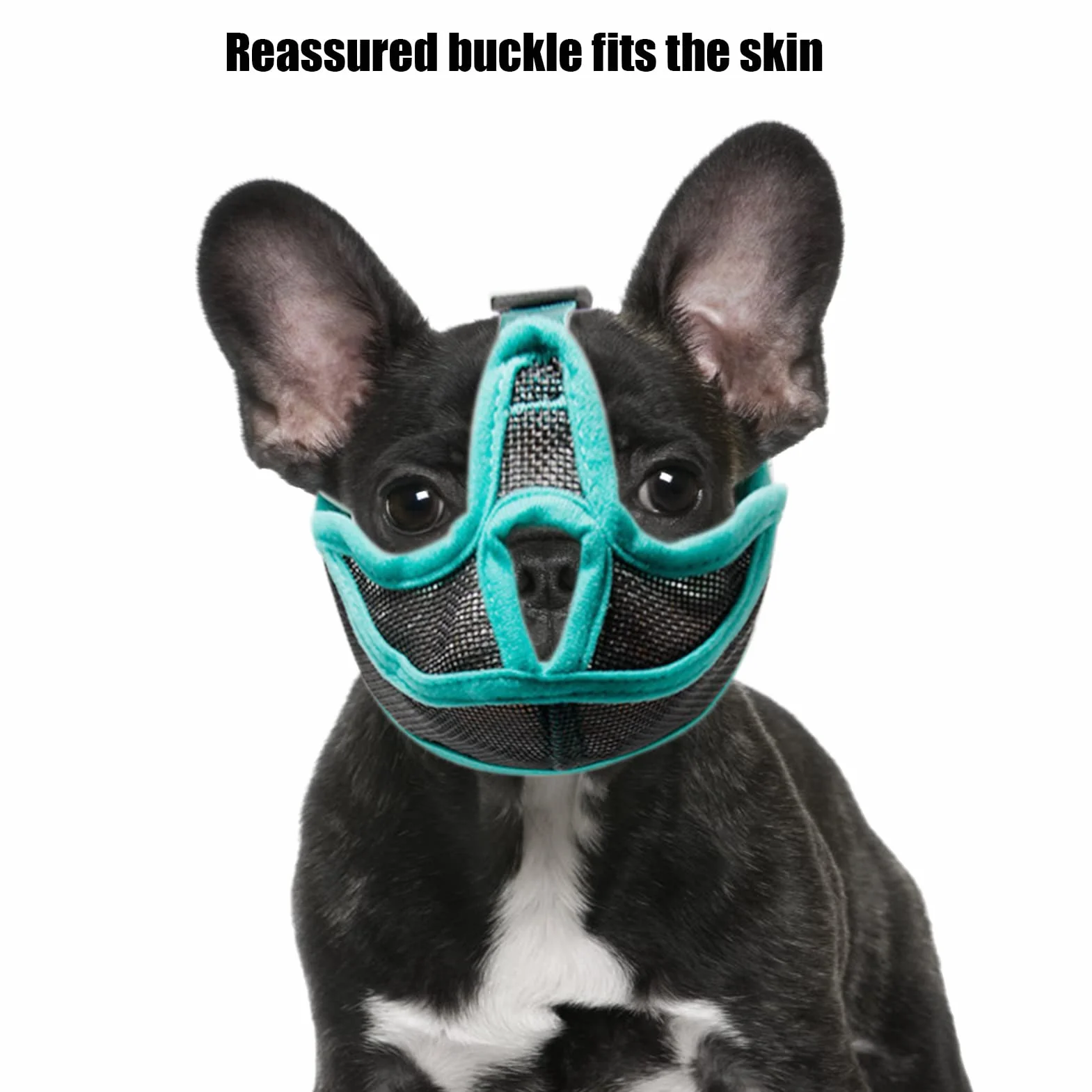 Muselière Courte pour Bouledogue en Respirante Anti-Morsure pour Bouledogues Français, Carlins, Chihuahuas, Sangle Réglable, Ajustement pour Chiens à Nez Court,