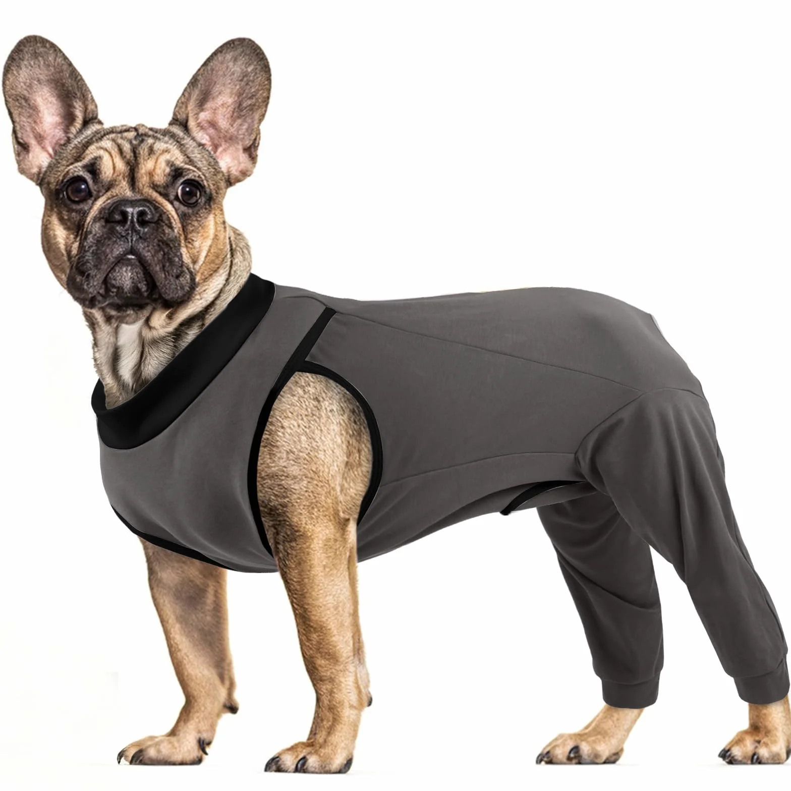 Body Chien, Body Post Operatoire Femelle Combinaison après Chirurgie Combinaison d’Opération de Chien Vêtements Chirurgicaux Anti-Léchage Gilet Post-Opératoire(Gris, M)