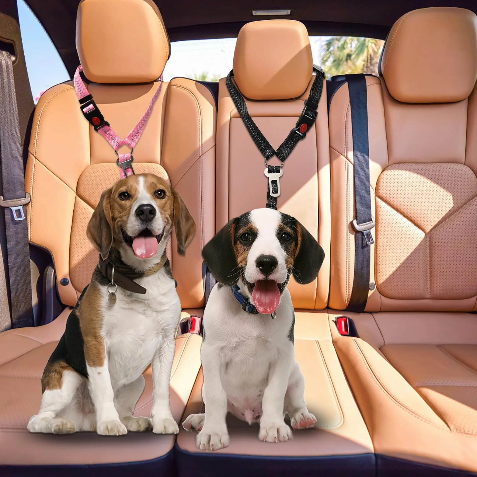 Ceinture Sécurité Chien Voiture Réglable 2 Pièces, Coussin Anti-Vibration Noir Rose