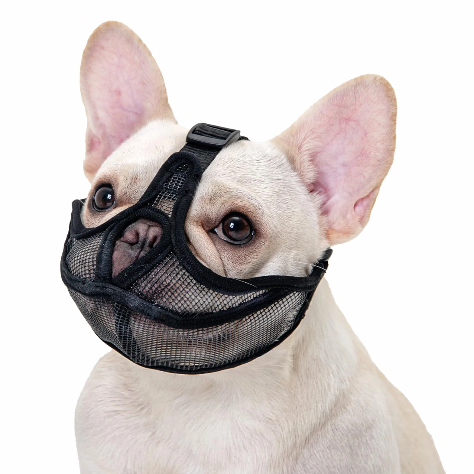 Muselière pour Chien Bouledogue français, muselière pour Chien à museau Court, Maille Respirante Ajustable, Anti Morsure, Mastication, aboiement(M,Noir)