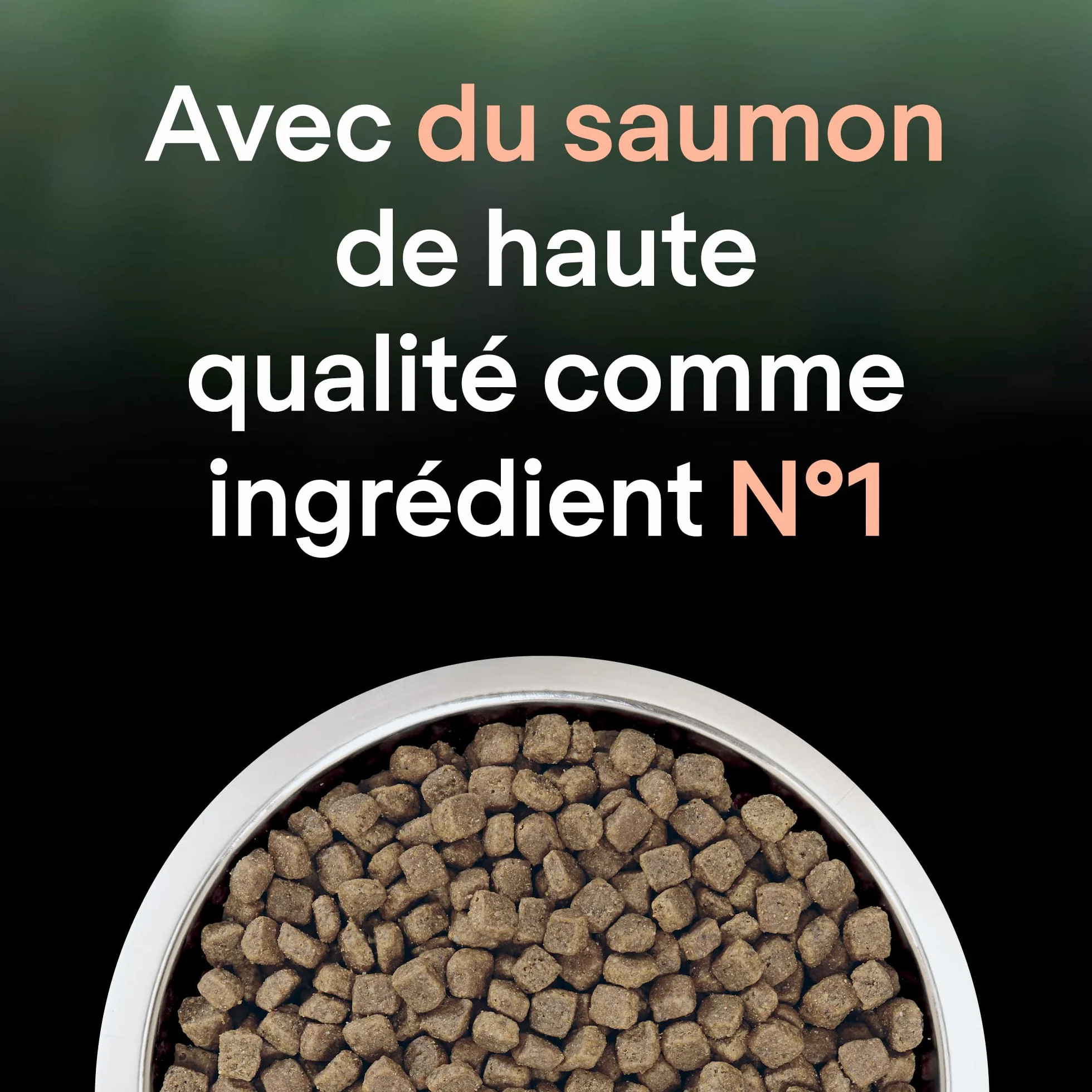 PRO PLAN LIVECLEAR Adulte Stérilisé Saumon 1,4kg