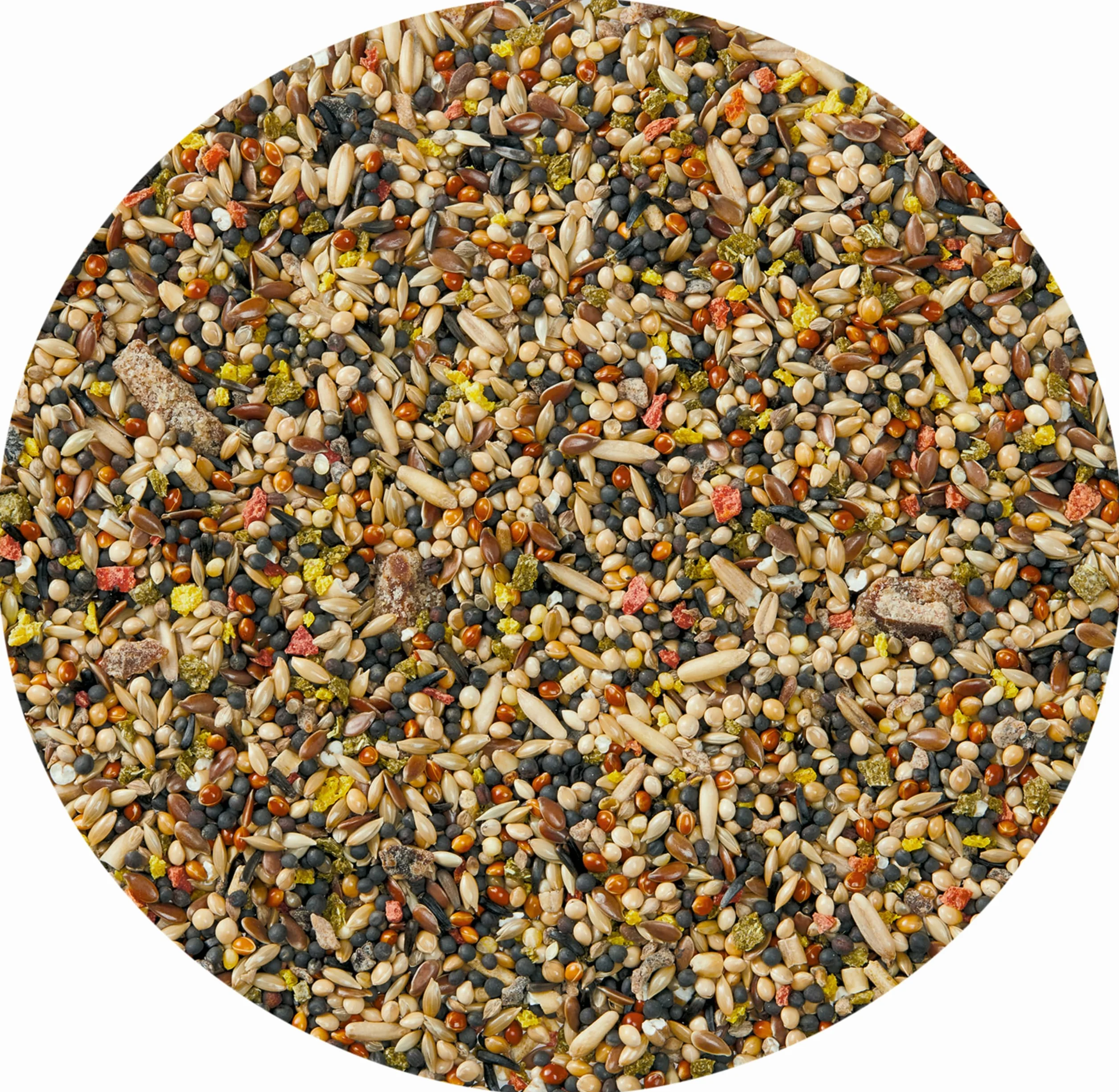 VITAKRAFT Fruit Cocktail Alimentation Complète pour Canaris 200 gr