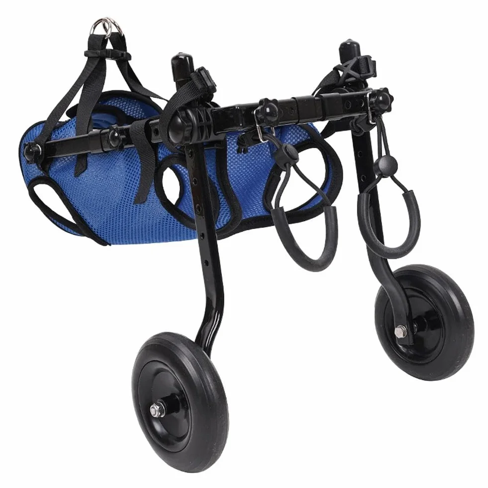 Chariot réglable pour chien handicapé aide mobilité membres postérieurs rééducation