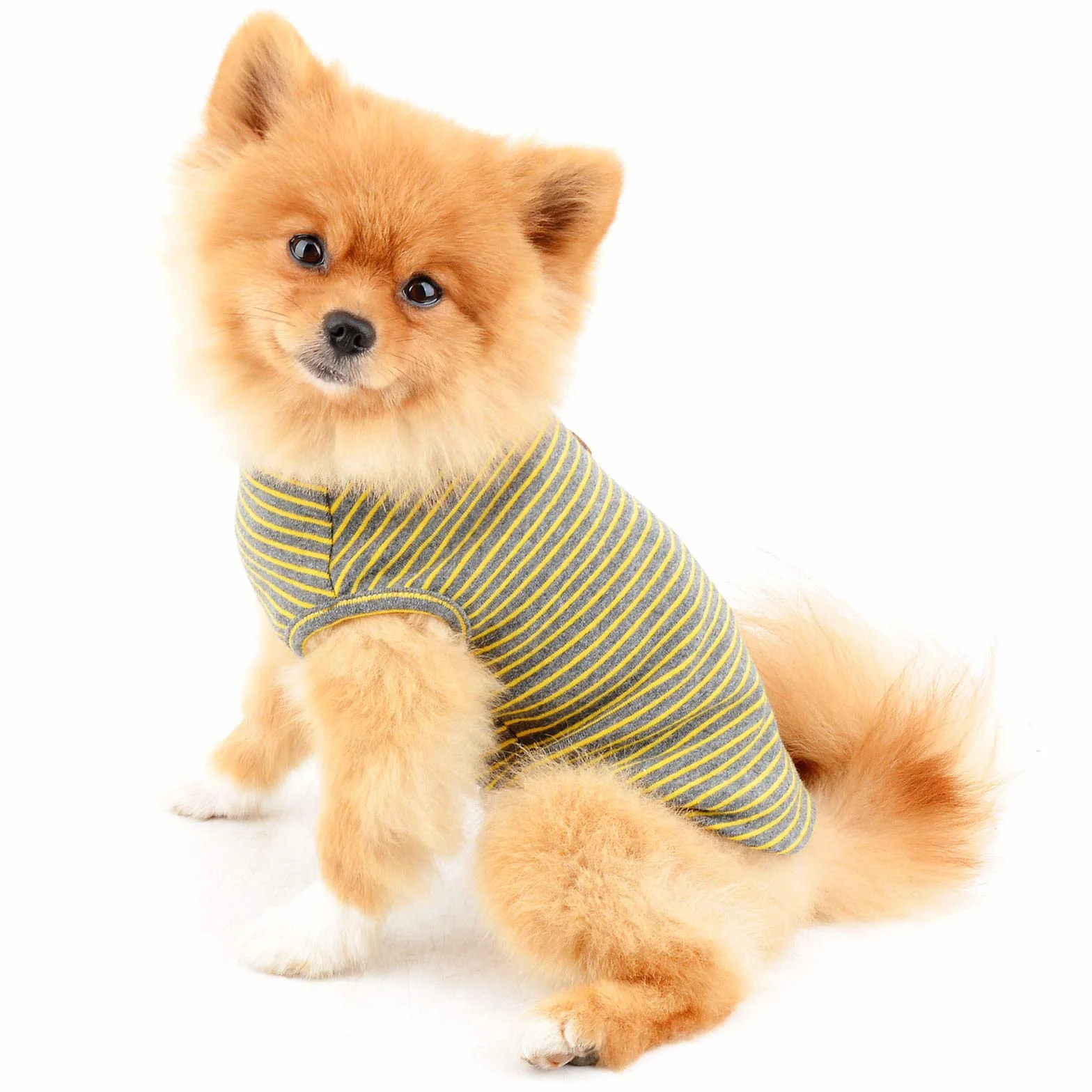 PAIDEFUL Chemise britannique rayée pour petit chien, gilet pour chat, T-shirt en coton doux pour animal de compagnie