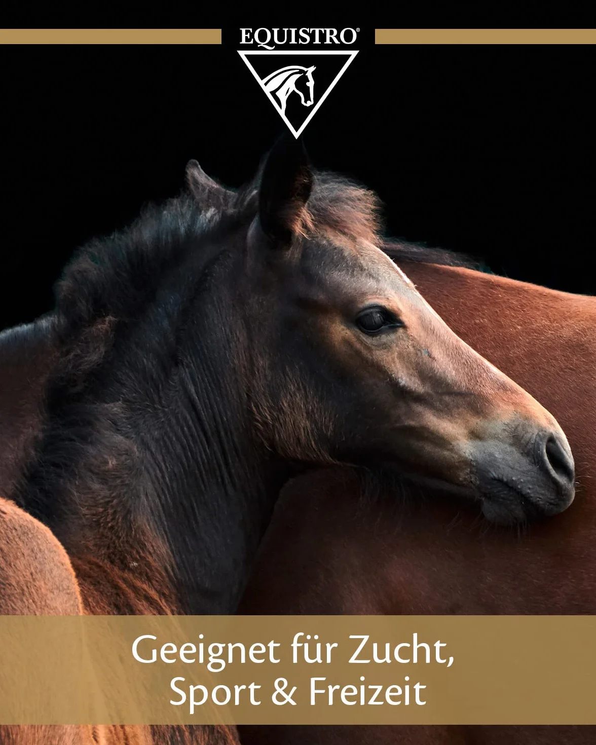 EQUISTRO® Equiliser - Complément Alimentaire pour Chevaux avec magnésium hautement concentré - Peut réduire Les comportements indésirables - en Cas de Signes d'hyperirritation - Qualité supérieure -