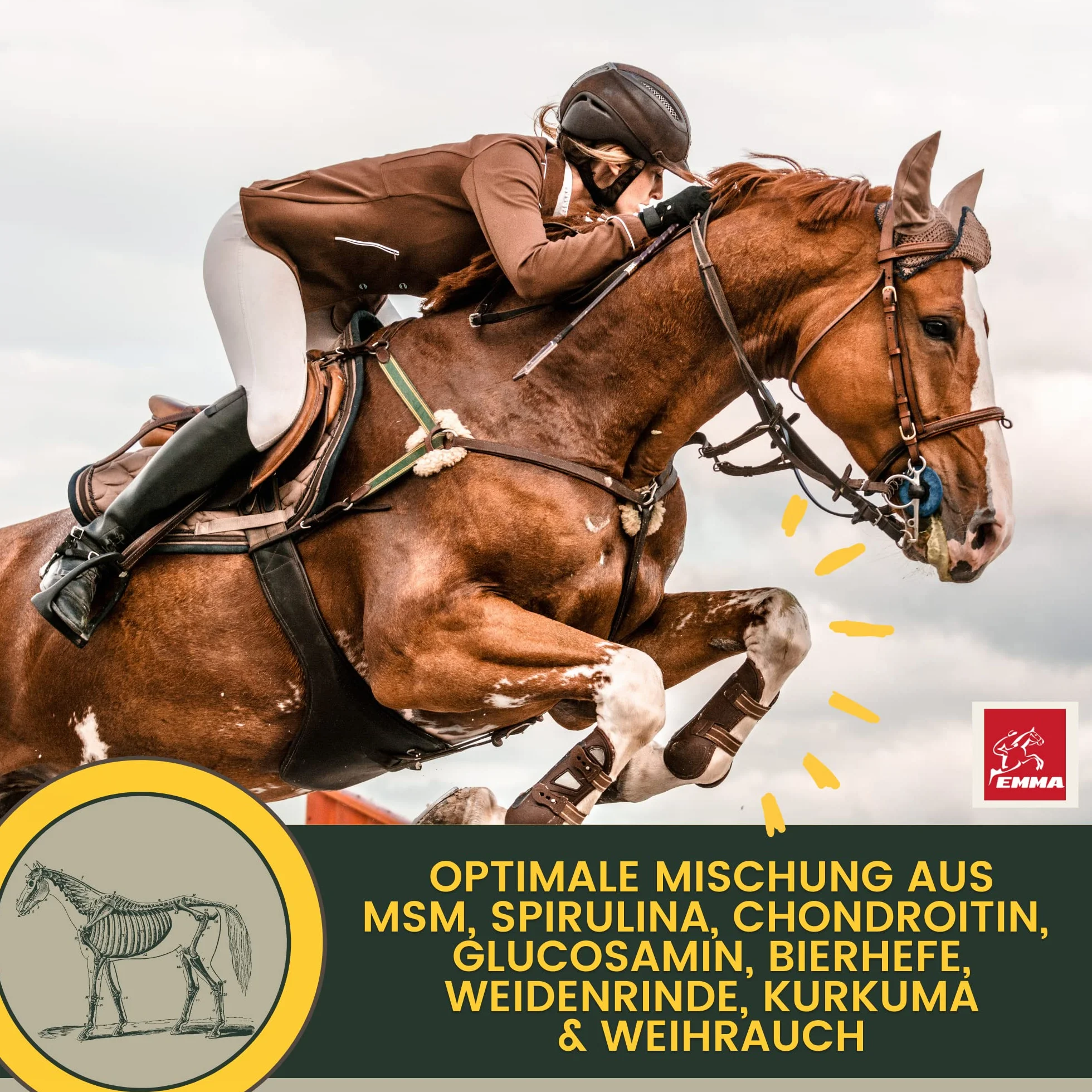MSM Cheval Pâte vitaminée Plus glucosamine chondroïtine Haute Dose Vitamine C levure de bière Appareil locomoteur articulations 3pc