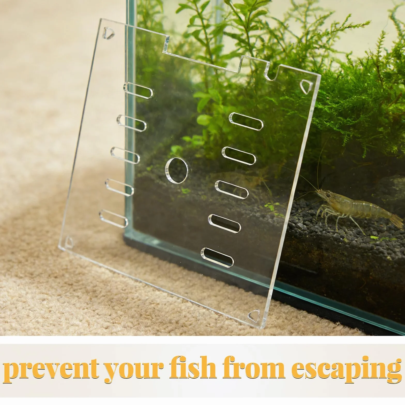 ARTIBETTER Couvercle en Acrylique Transparent 20x20 Cm pour Aquarium, Protection Anti-Saut Carré avec Grille