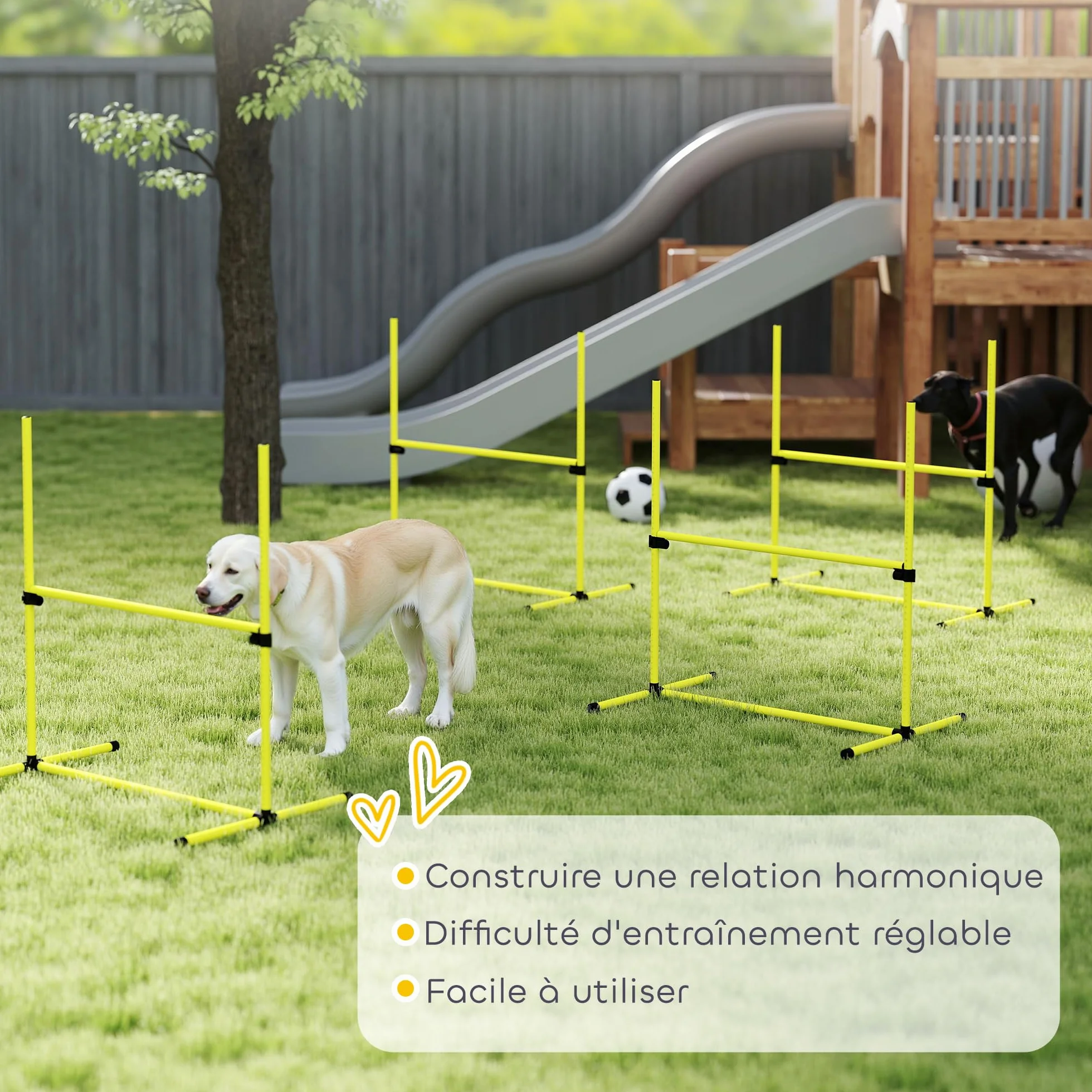 PawHut Kit Agility pour Chiens, 4 Obstacles Professionnels Hauteur Réglable, Parcours Entraînement Jaune