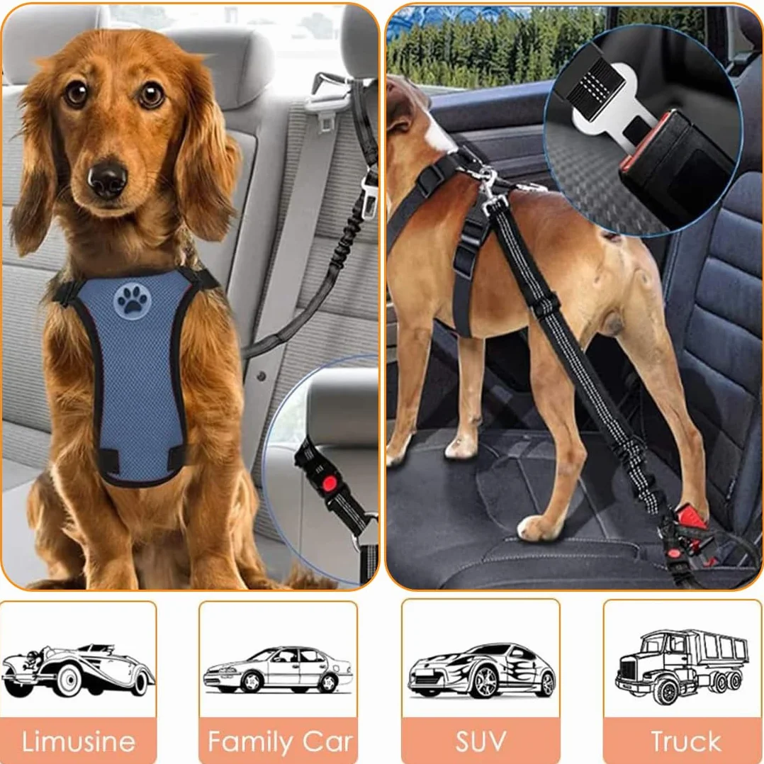 Ceinture Securite Chien Voiture : 1 Pièce Réglable Pour Animal En Voiture. Couleur : Noir. Taille : Réglable. Harnais De Sécurité Automobile Pour Petit Chien.