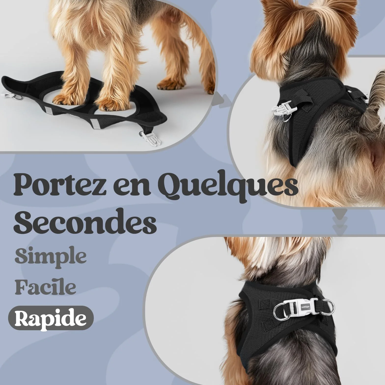 Rabbitgoo Harnais Chien Petite Taille Noir S, Harnais Respirant en Maille Souple Réfléchissant pour Petit Chien Marche Course