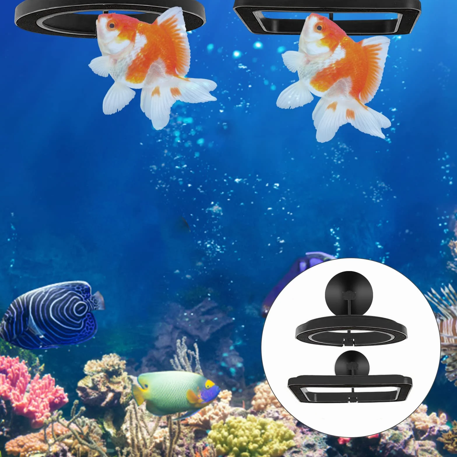 Anneau de Nourriture pour Poissons 2 pièces Distributeur Aquarium Accessoires Tortue Cercle Guppy Bettas Noir