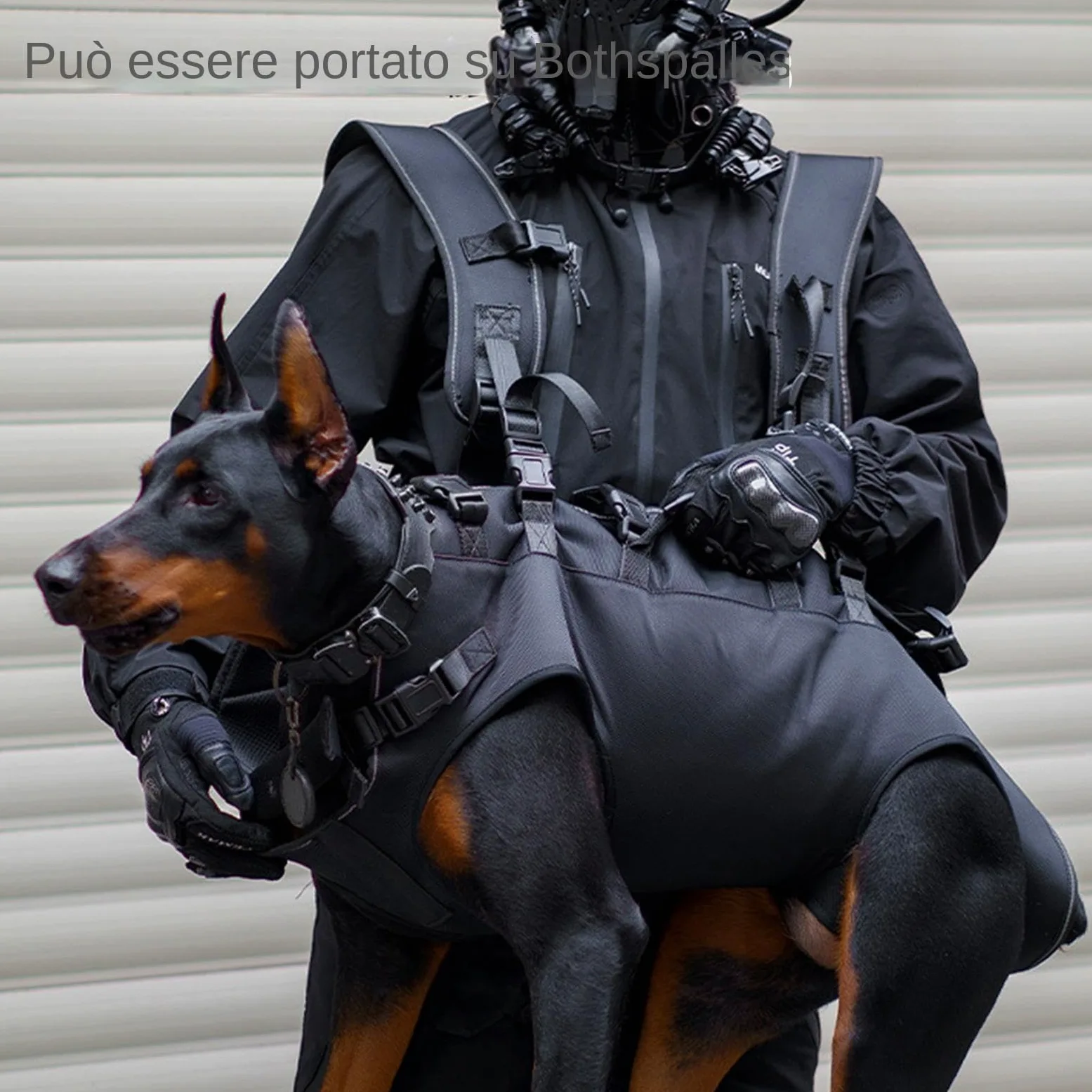 Câblage de support de chien professionnel pour la mobilité de levage | harnais pour animaux de compagnie pour assistance à la récupération | Vecteur thoracique réglable pour grands canins | Oxfo