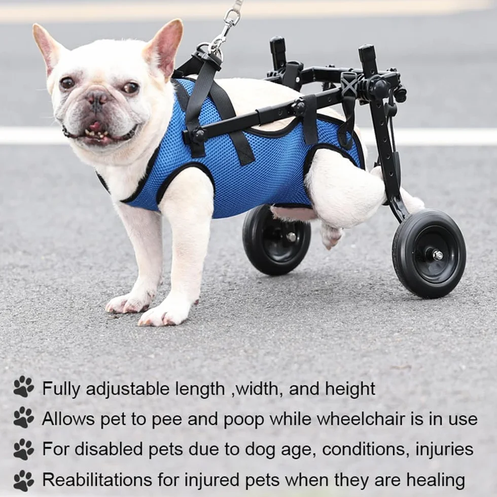 Fauteuil roulant pour chien handicapé, poussette réglable, petit et moyen chien, modèle bleu S